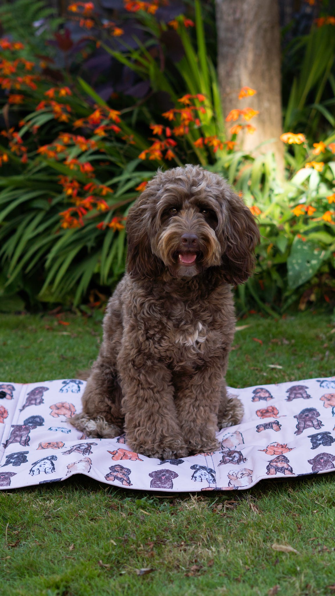 The Oodles & Doodles Travel Mat