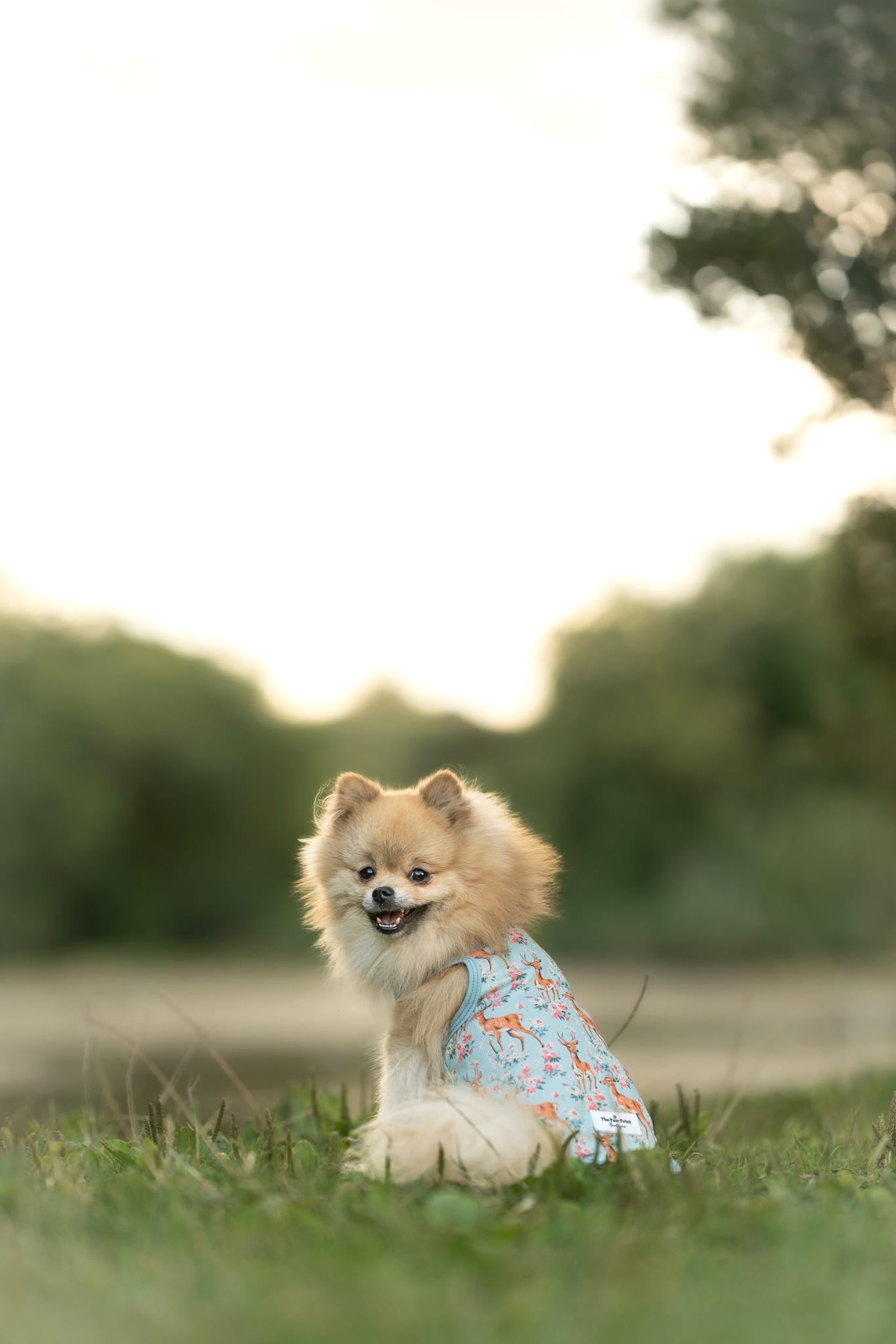 Bambi in Bloom Cooling Vest
