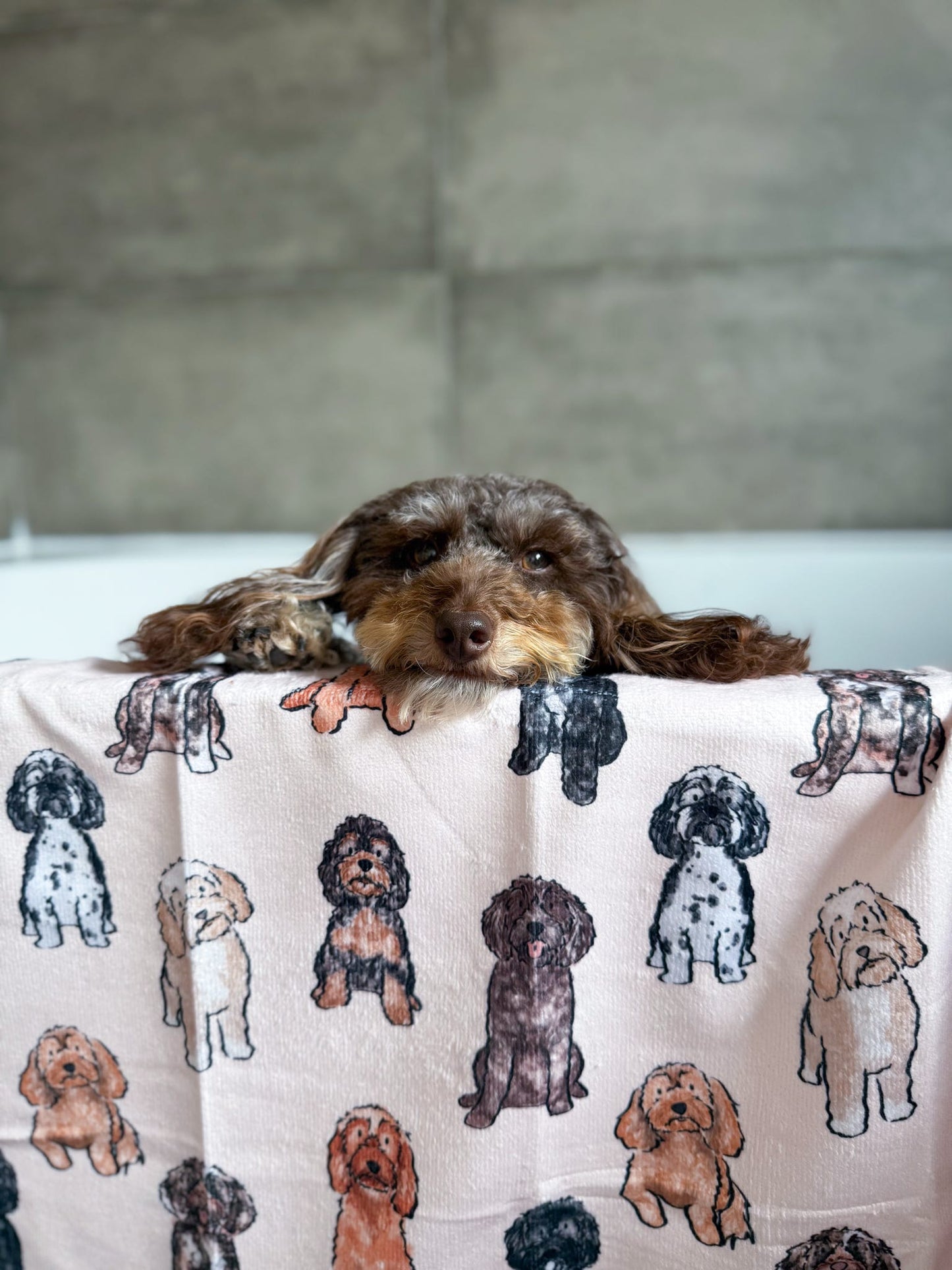 The Oodles & Doodles Dog Towel