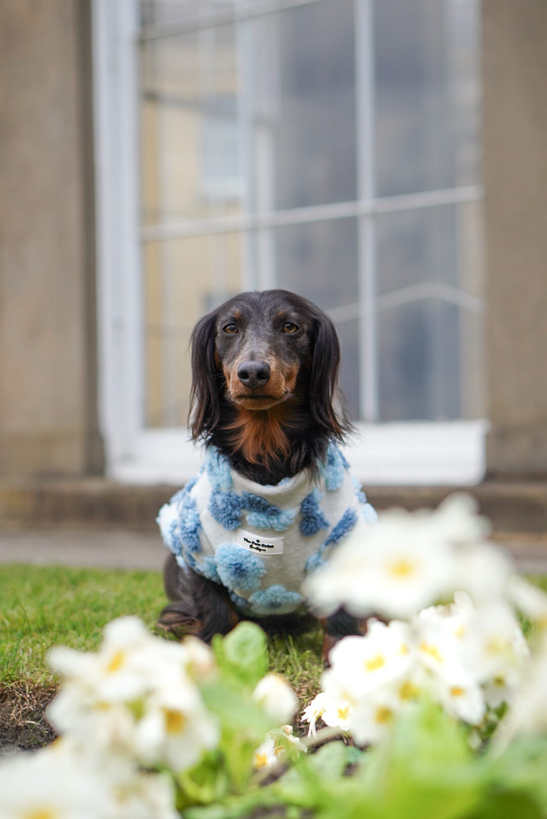 The Bluebell Blue Floral Fleece