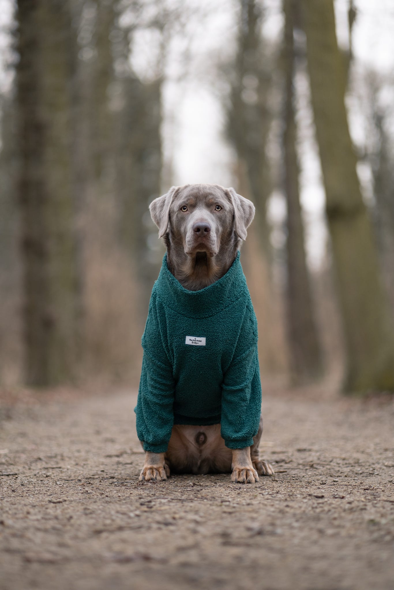 Teddy Fleece - Forest Green