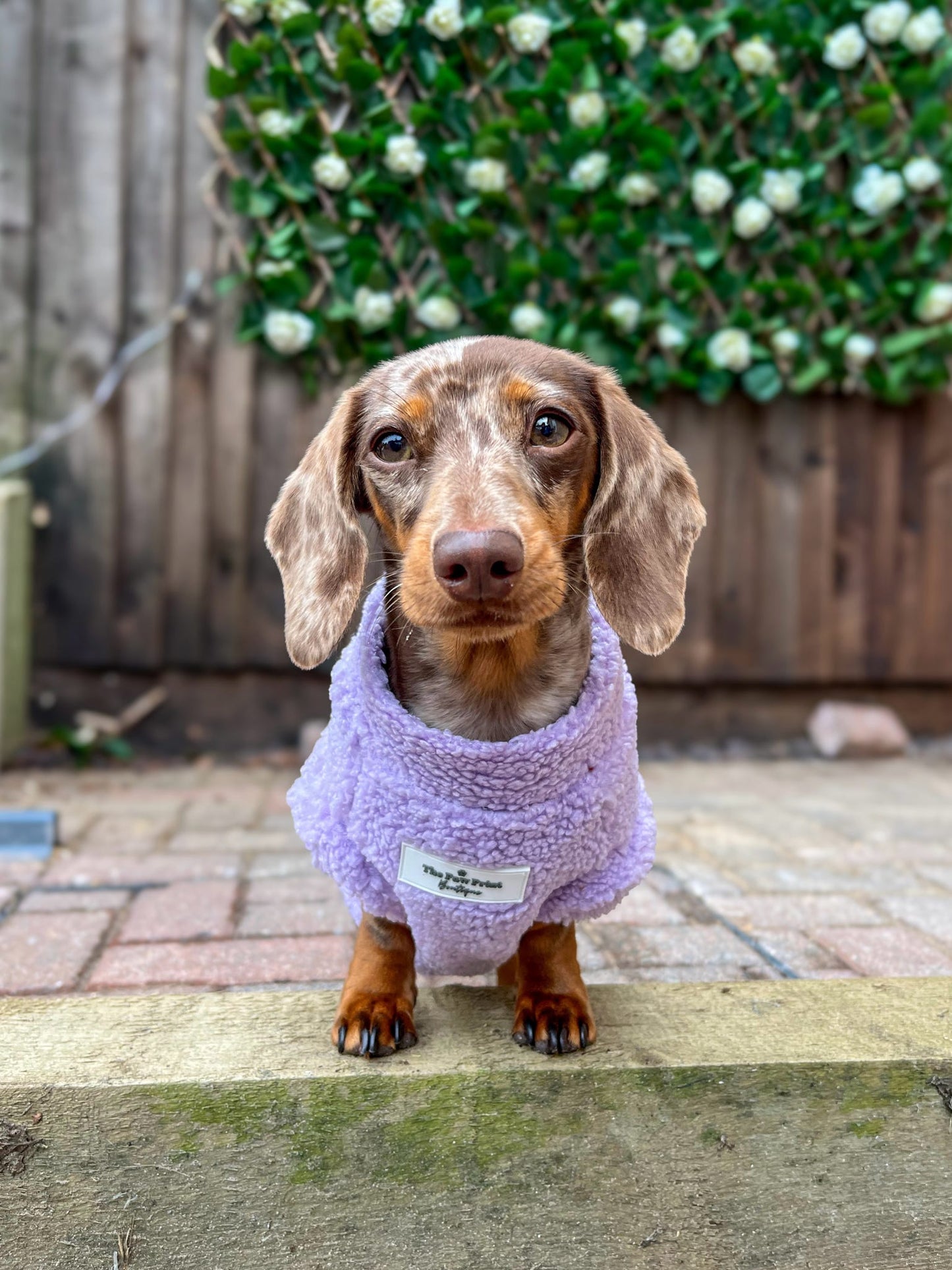 Teddy Fleece - Lilac