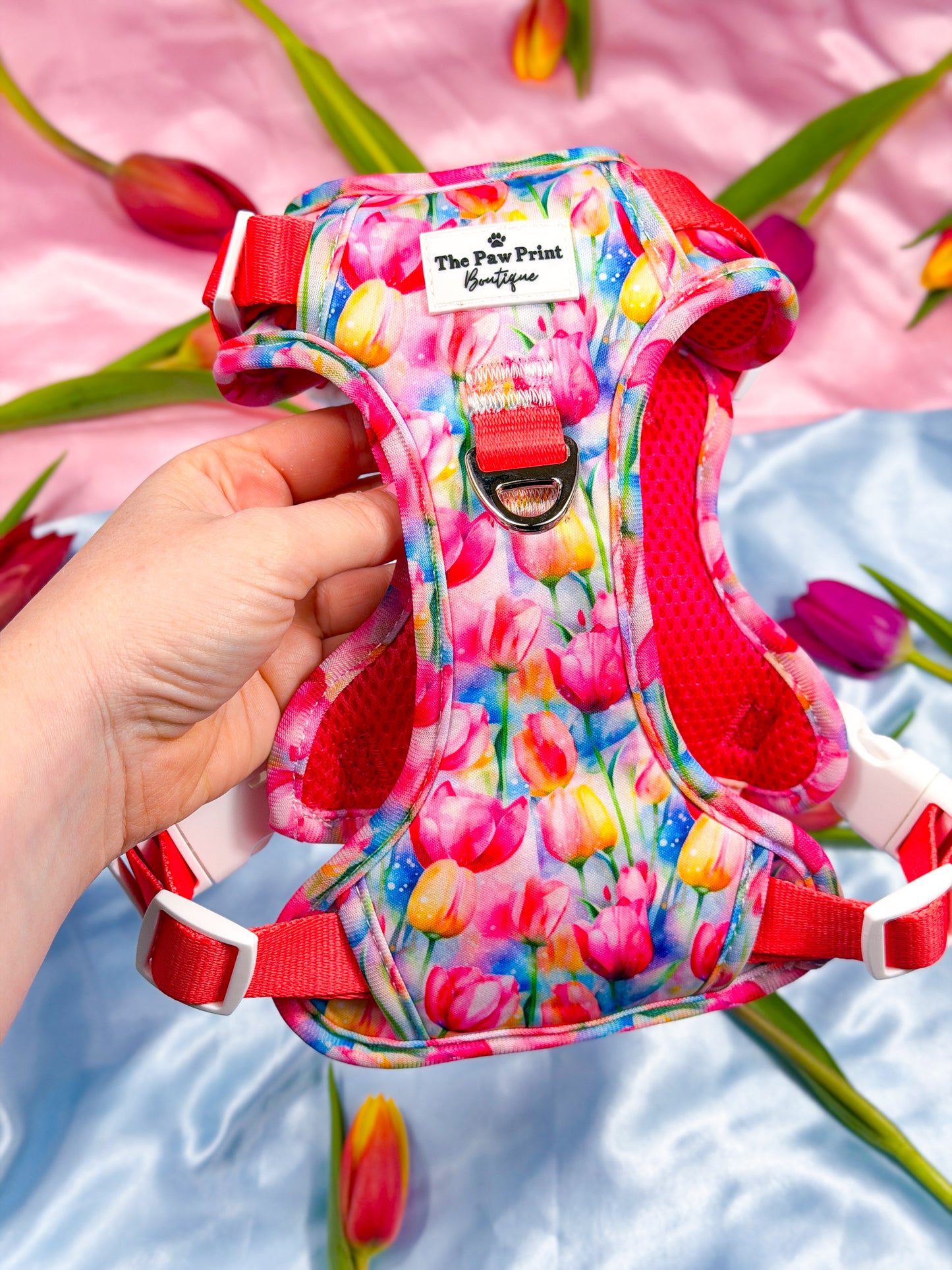 The Tulip Field Adventure Paws Harness