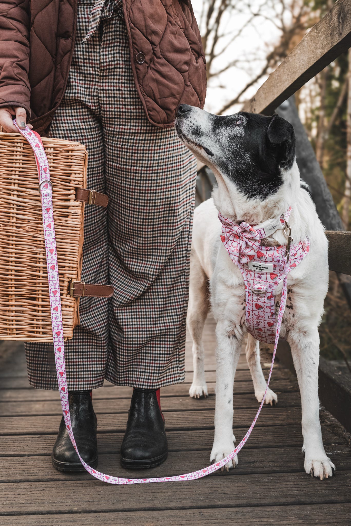 The Bows & Berries Adventure Paws Harness