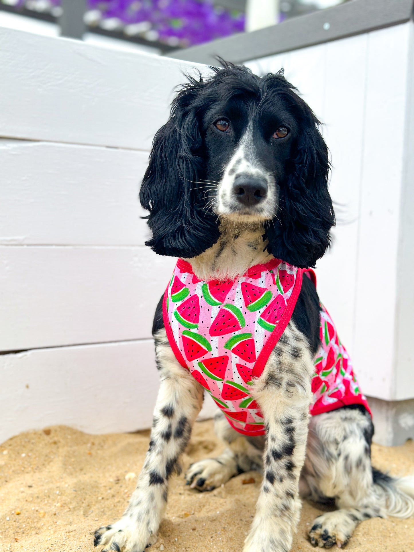 The Watermelon Sugar Cooling Vest