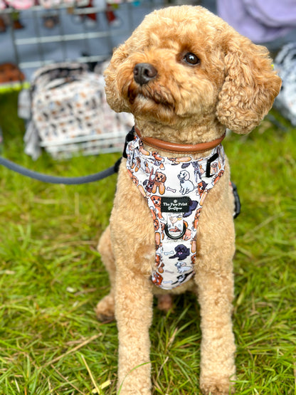 The Poodle/Doodle Harness (Adventure Paws Style)