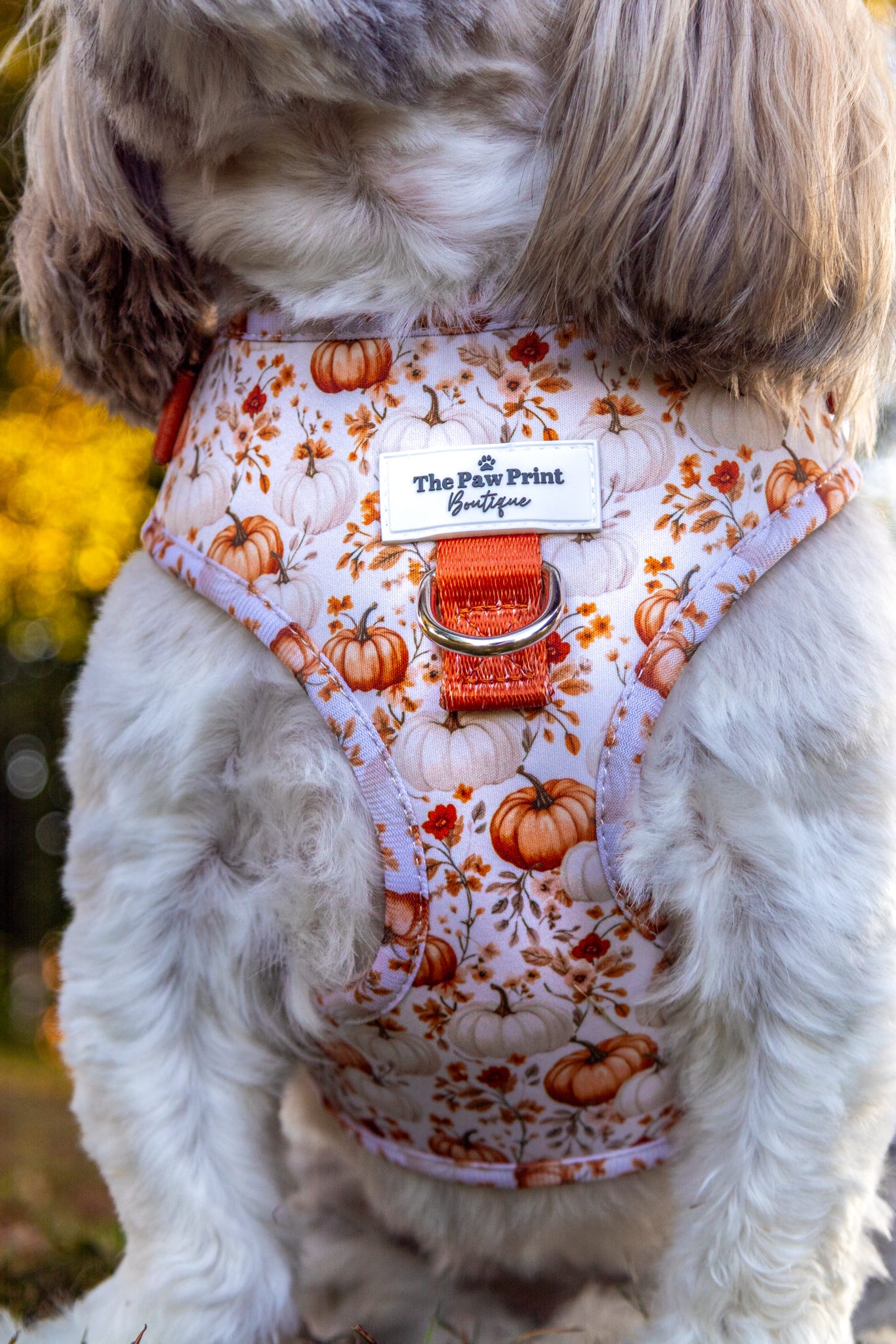 Pupkin Patch Adjustable Harness