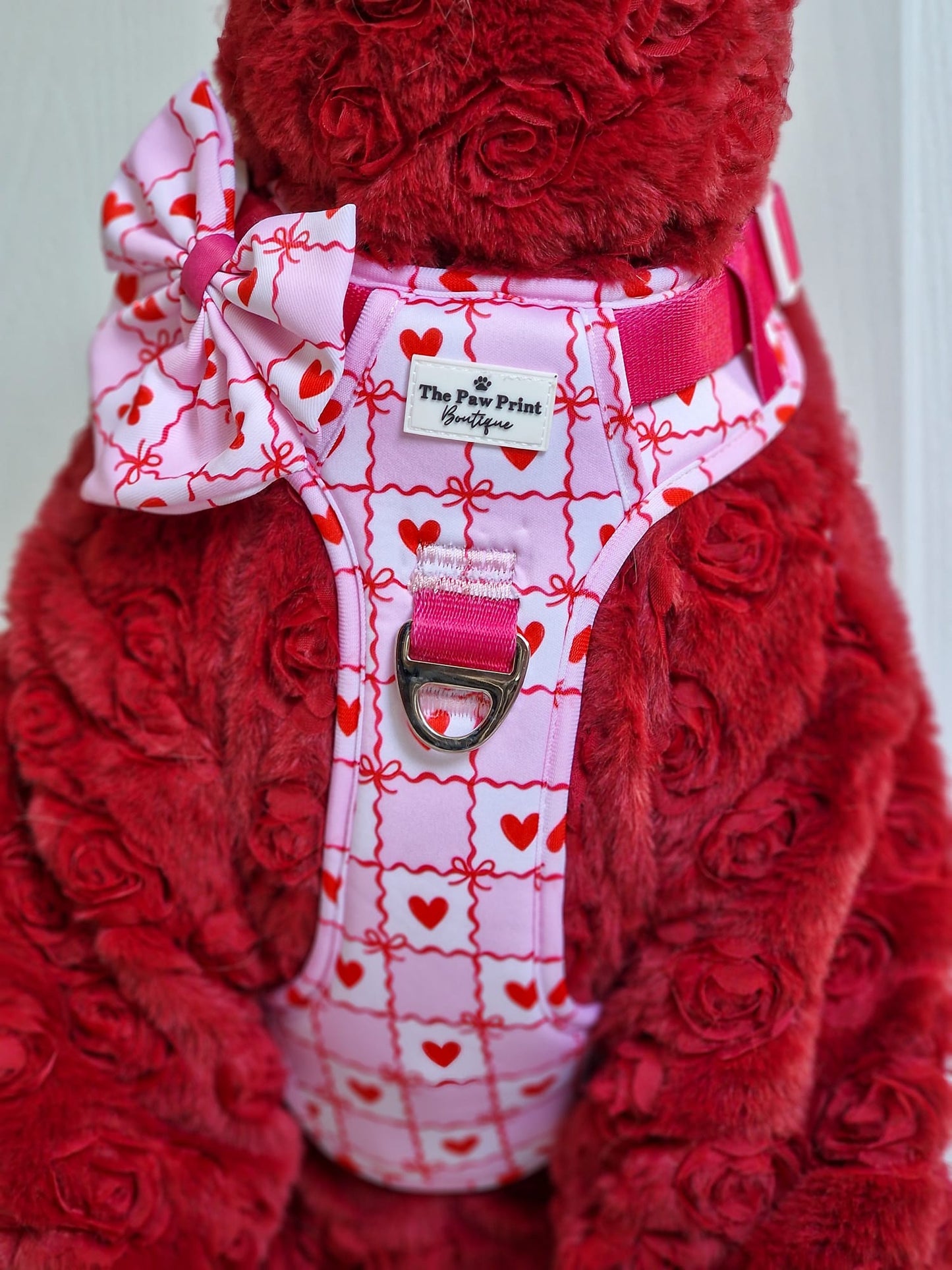 Pink Chequered Hearts Adventure Paws Harness