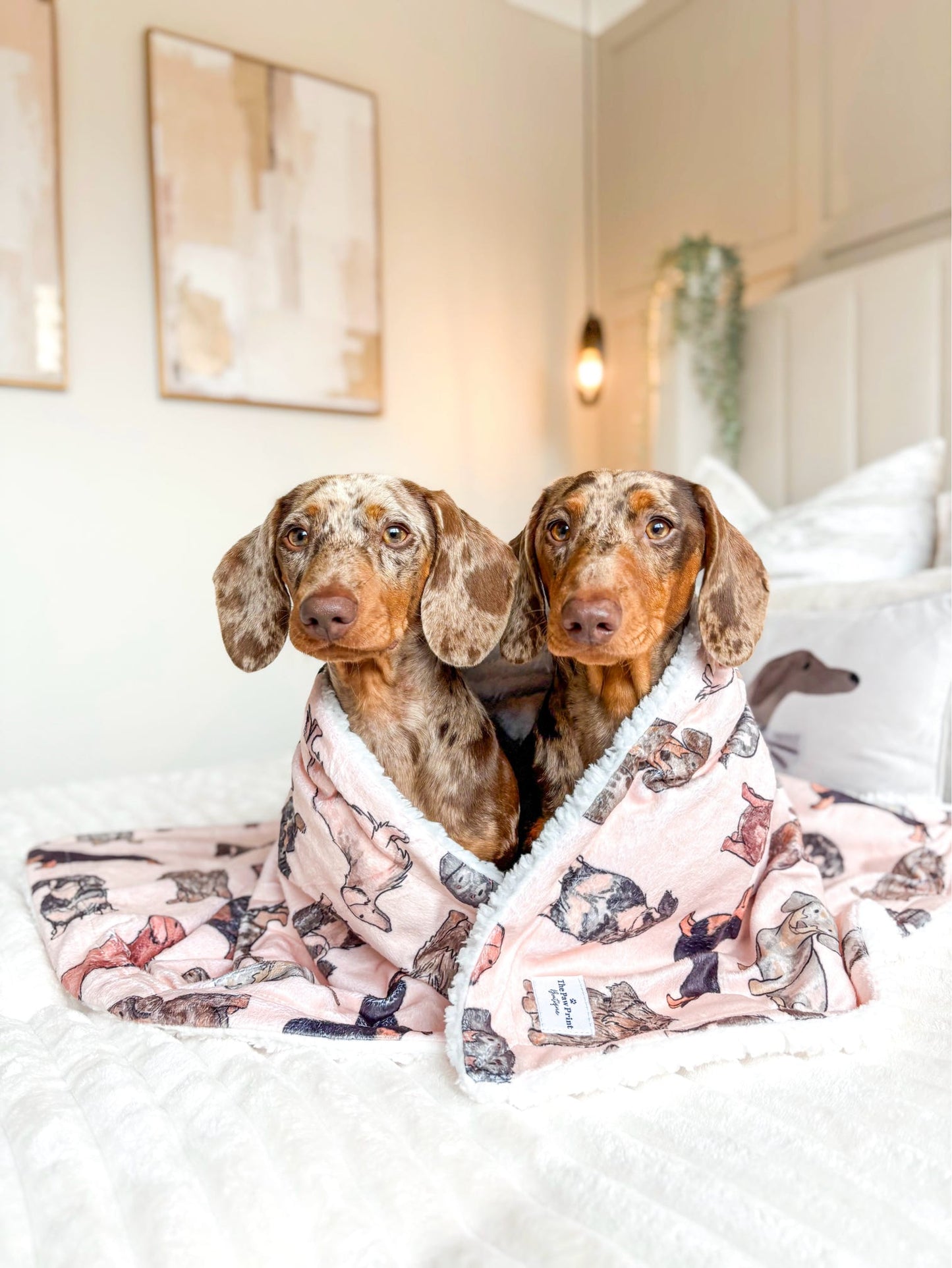 The Dachshund Dog Blanket