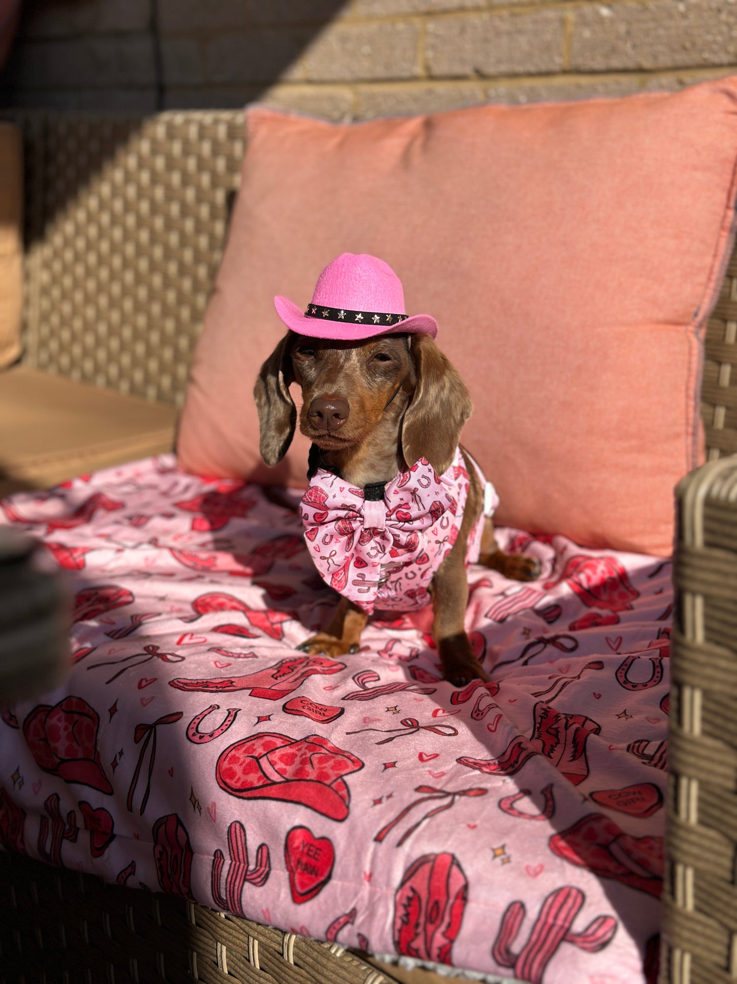The Giddy up Pup Bow Tie