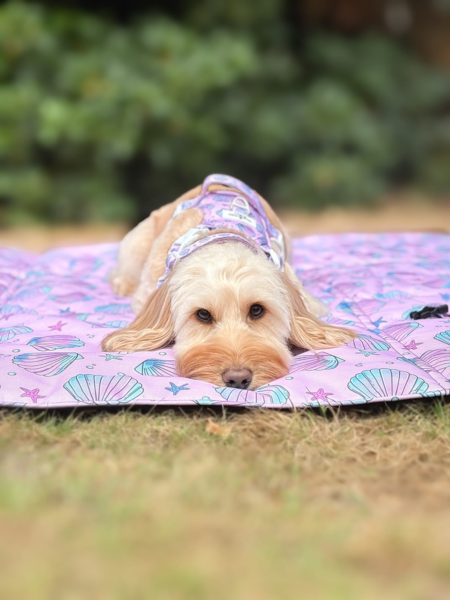 Mermaids Tails Picnic Mat