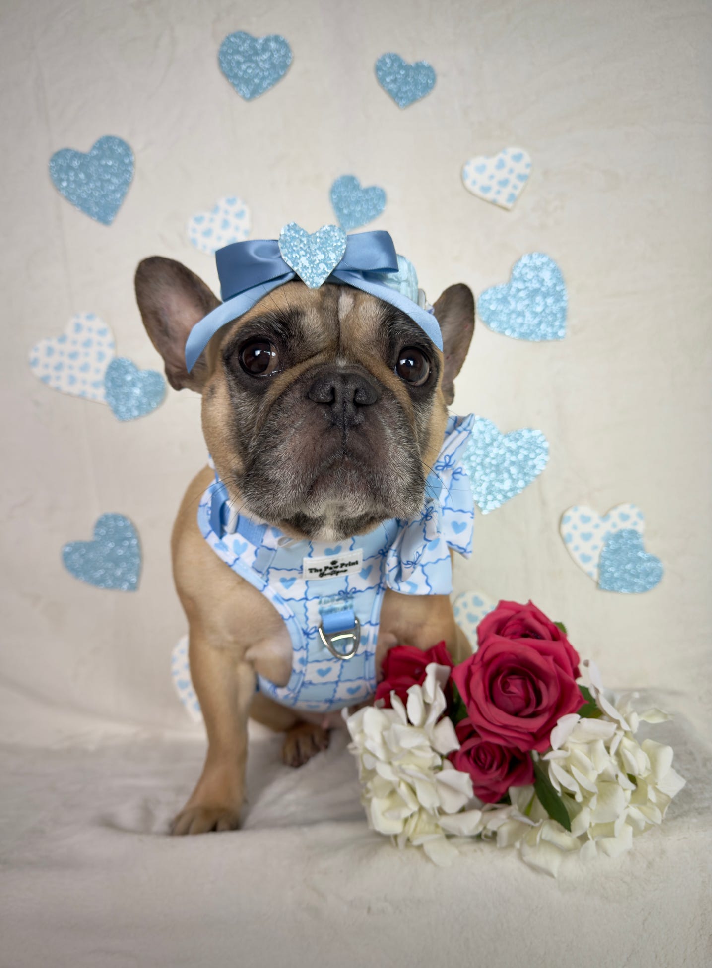 Blue Chequered Hearts Bow Tie