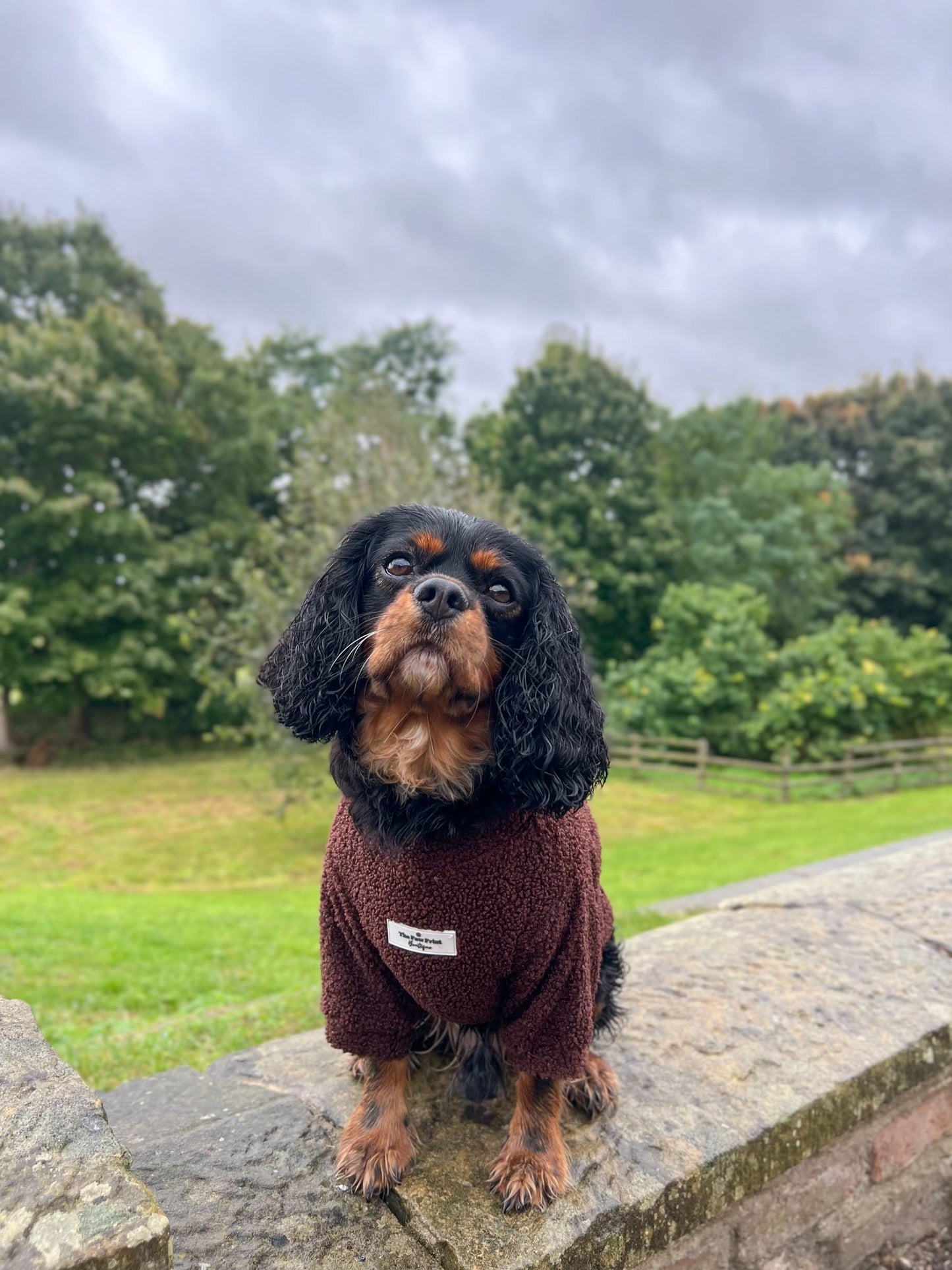 Teddy Fleece - Chocolate