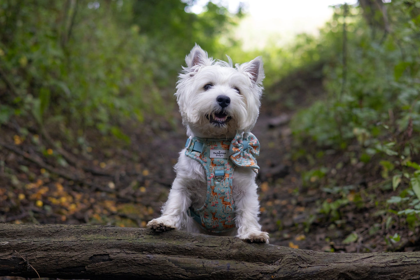 Bambi in Bloom Bow Tie