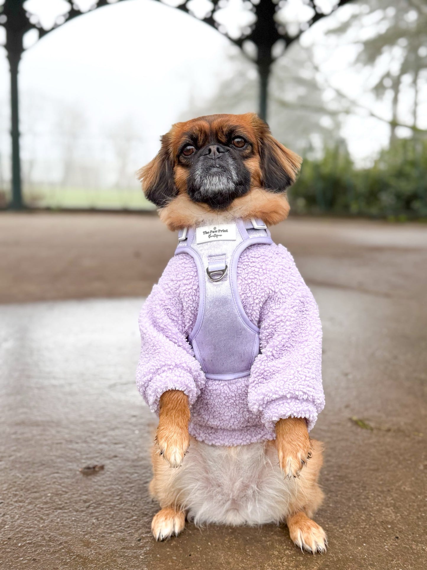 The Lavish Lilac Adventure Paws Harness
