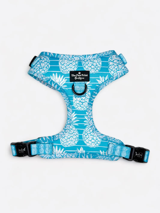 The Pineapple Pawty Adjustable Harness