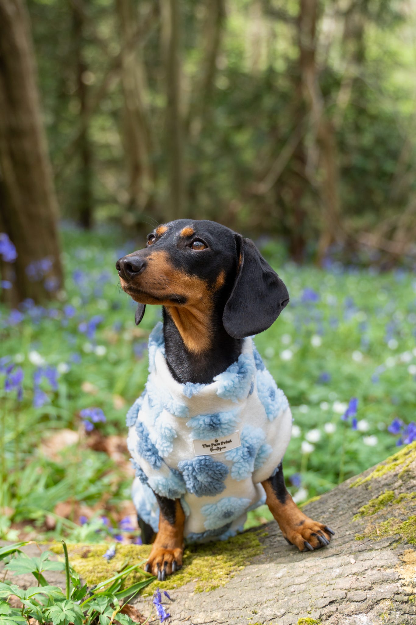 The Bluebell Blue Floral Fleece