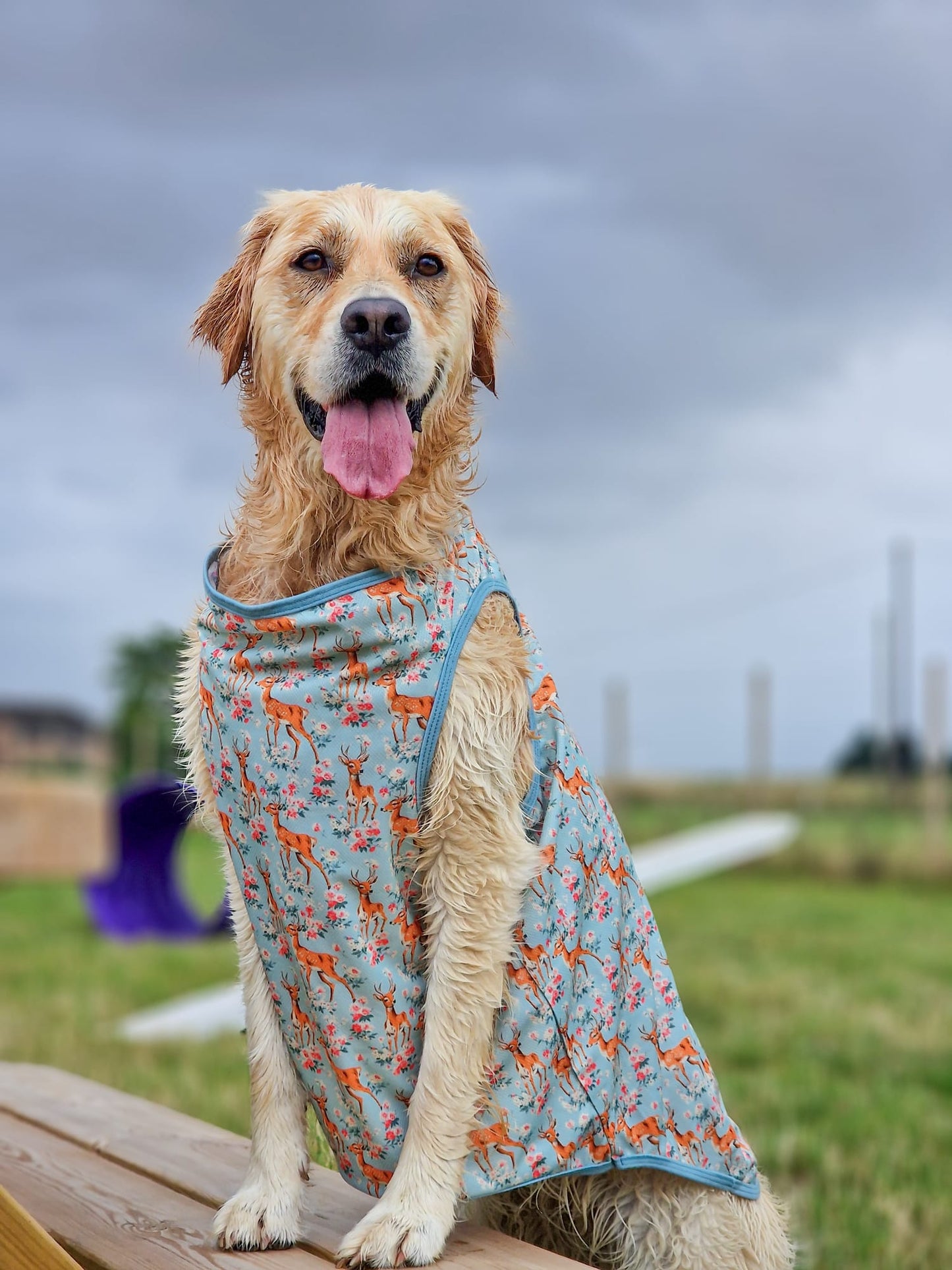Bambi in Bloom Cooling Vest