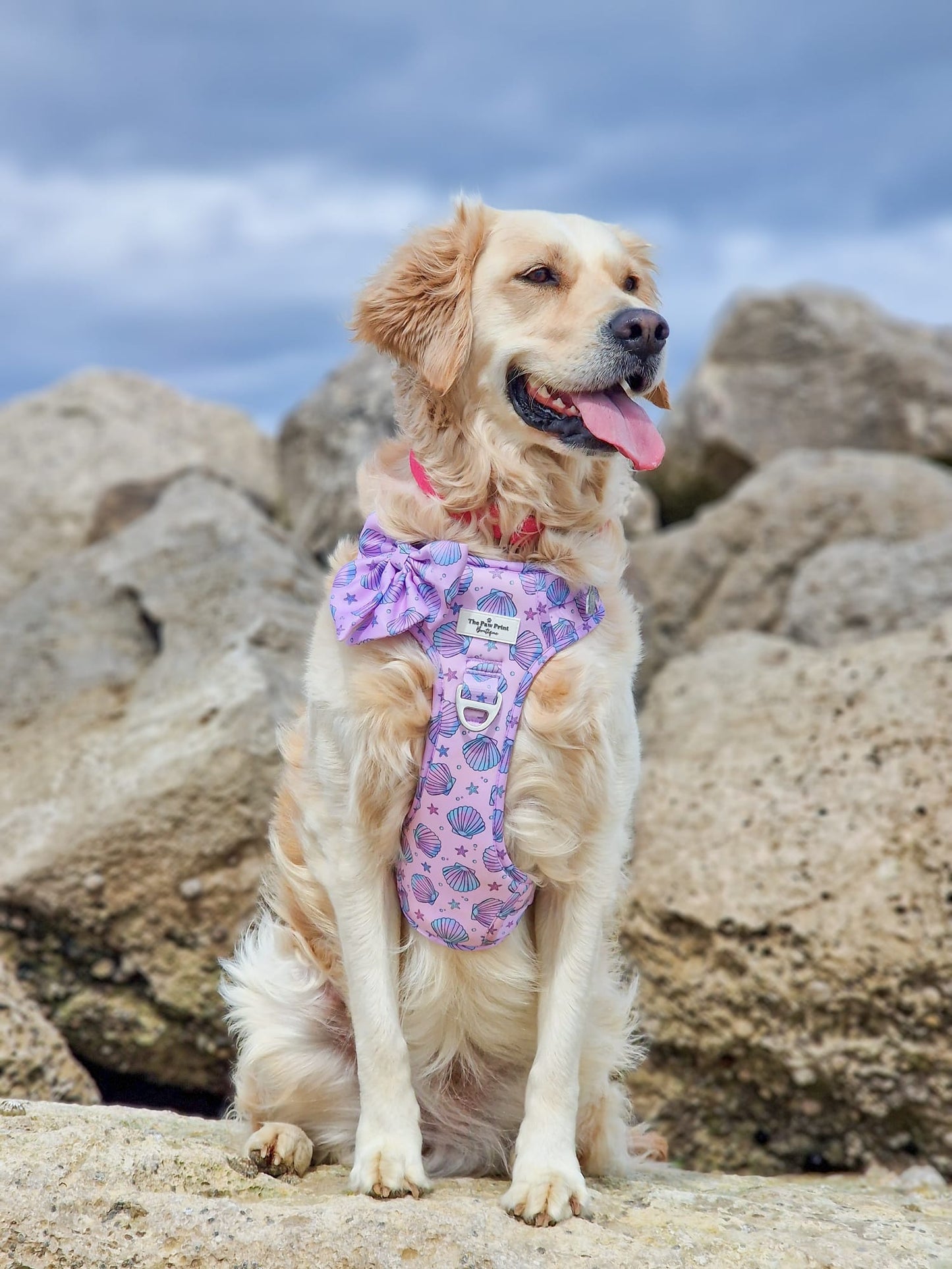 Mermaids Tails Bow Tie