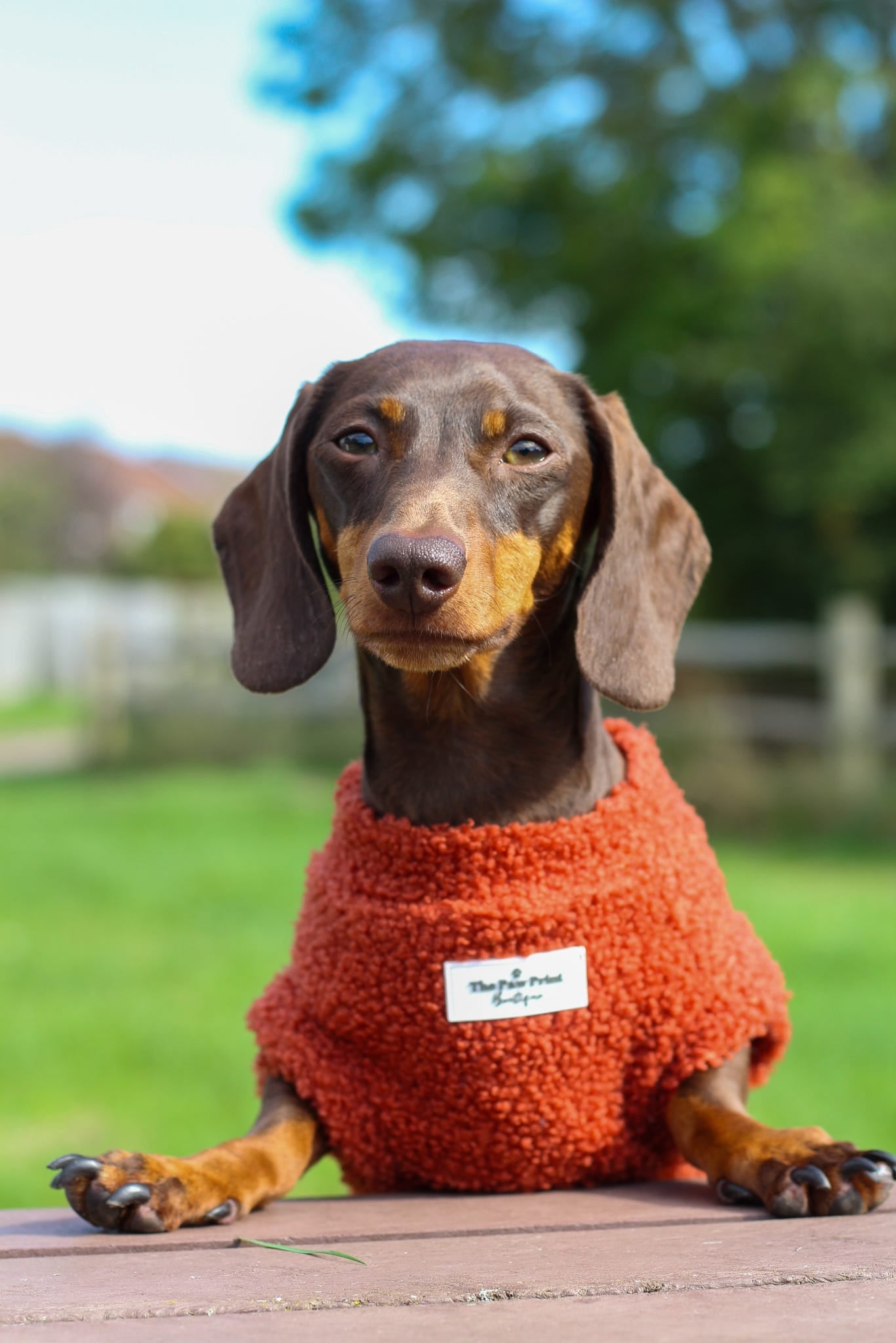 Teddy Fleece - Burnt Orange