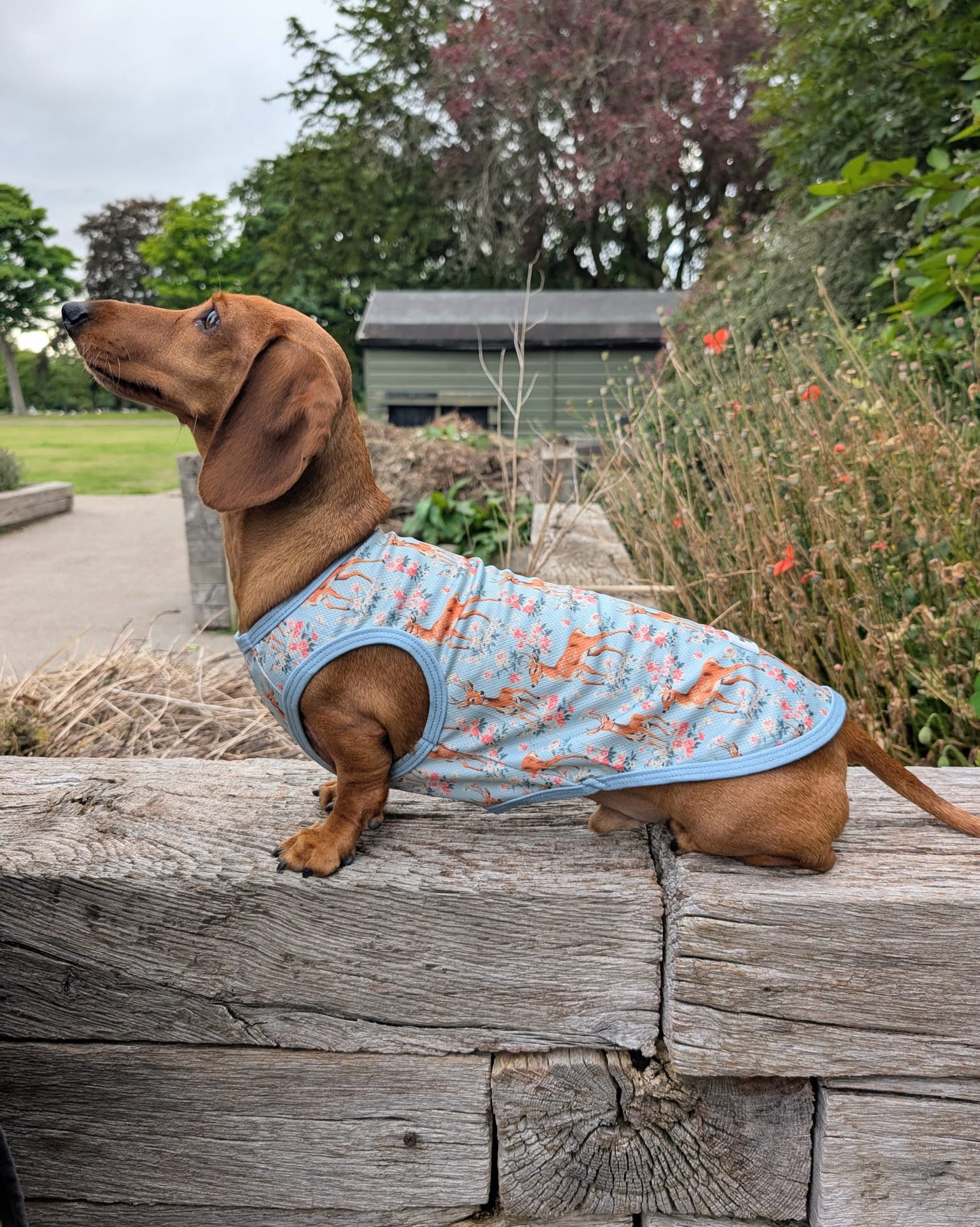 Bambi in Bloom Cooling Vest