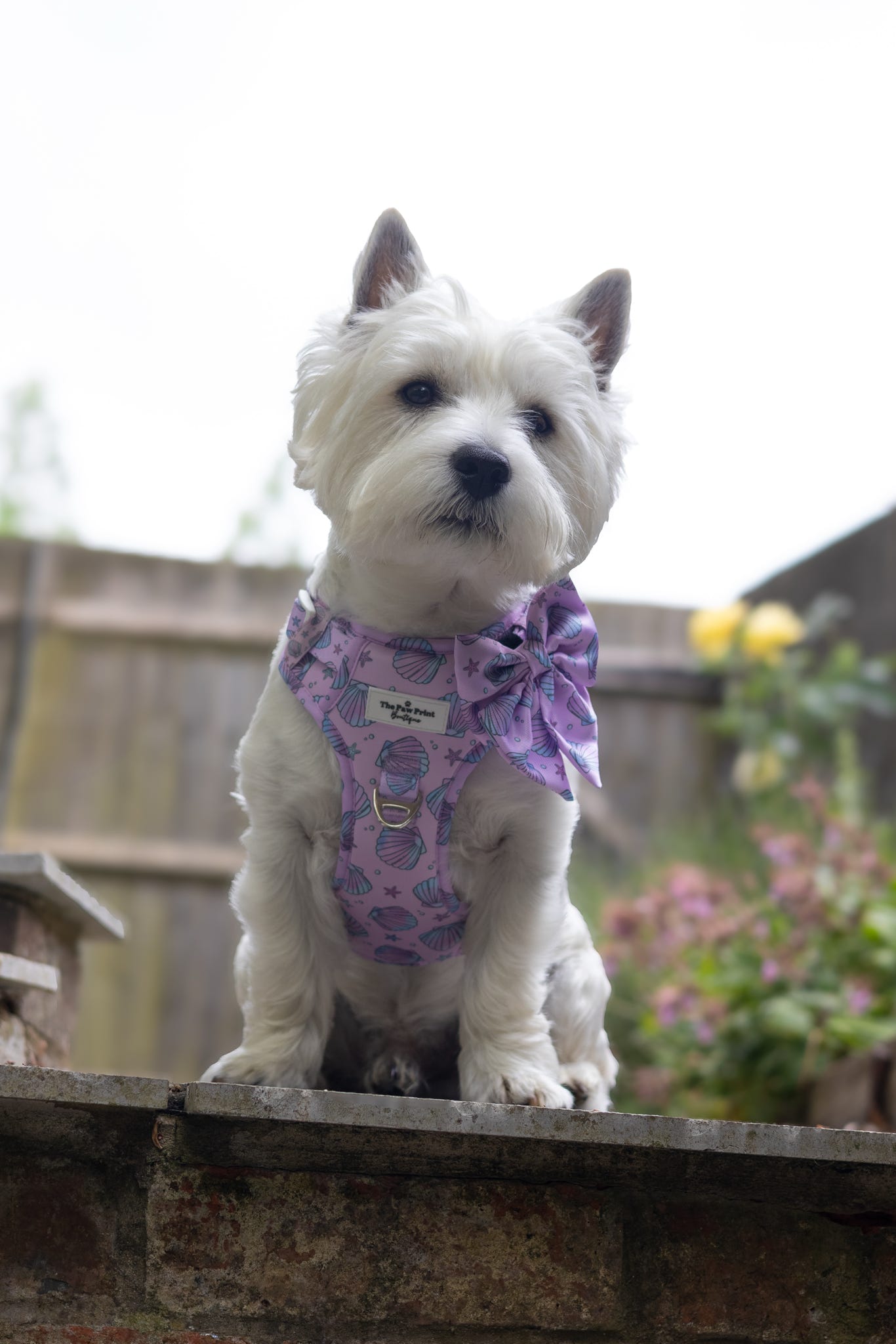 Mermaids Tails Bow Tie