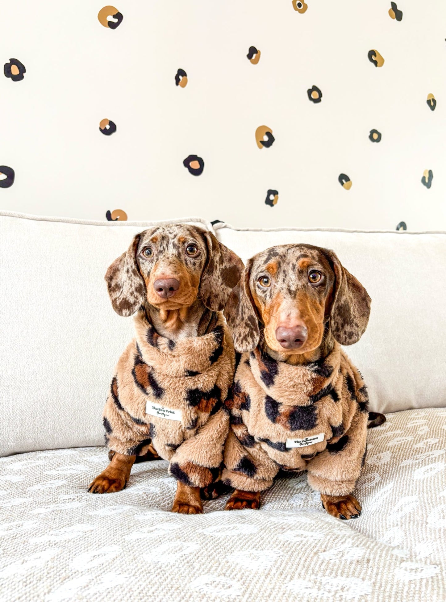 The Leopard Print (Brown) Fluffy & Fabulous Fleece