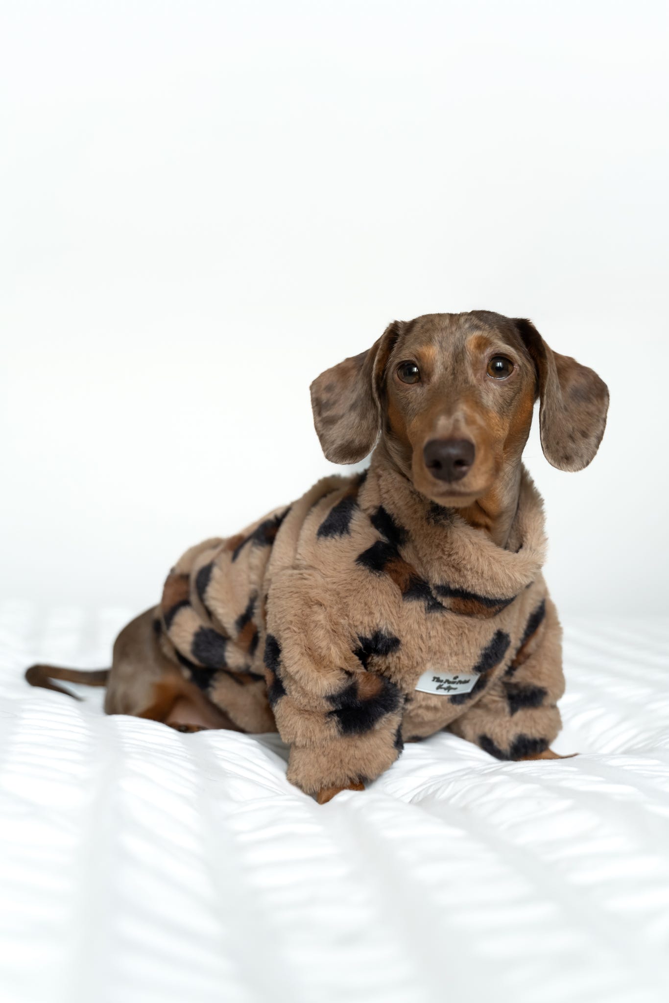 The Leopard Print (Brown) Fluffy & Fabulous Fleece