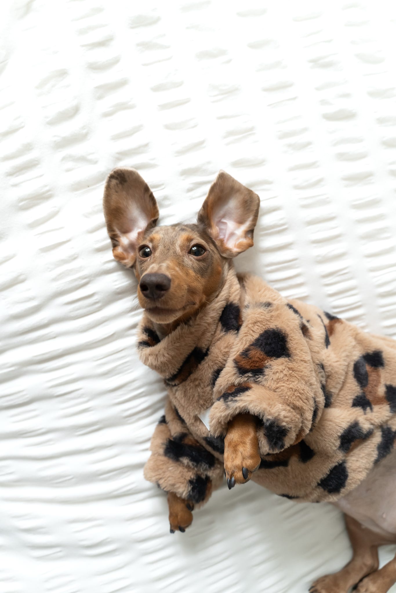 The Leopard Print (Brown) Fluffy & Fabulous Fleece