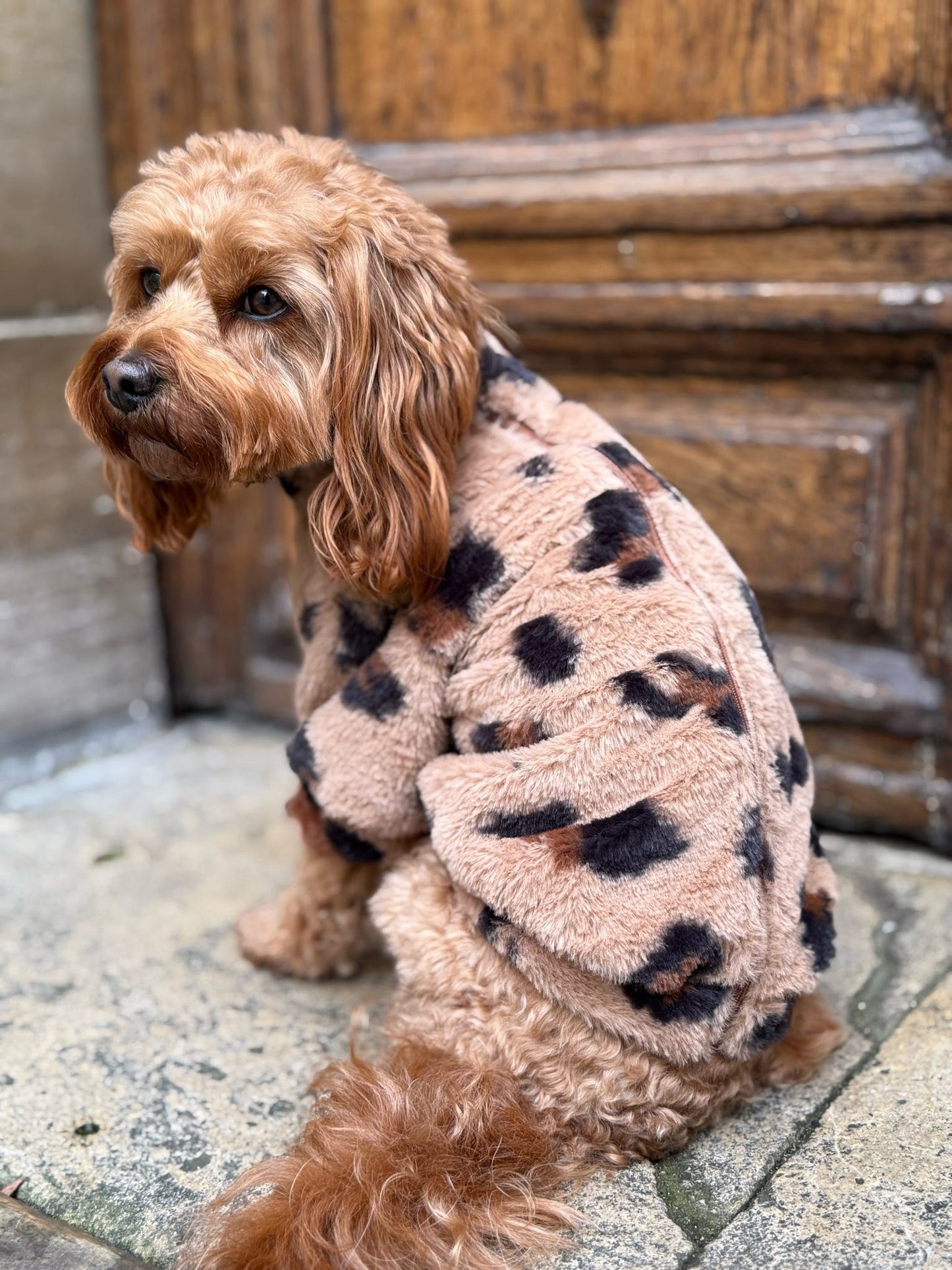 The Leopard Print (Brown) Fluffy & Fabulous Fleece
