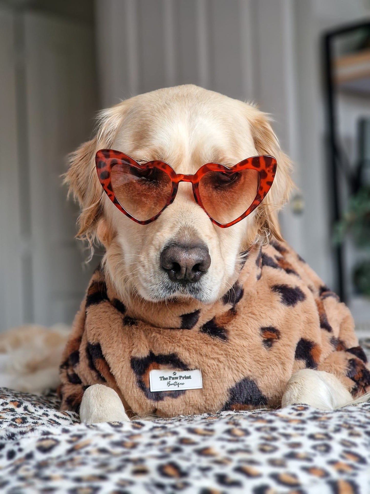 The Leopard Print (Brown) Fluffy & Fabulous Fleece
