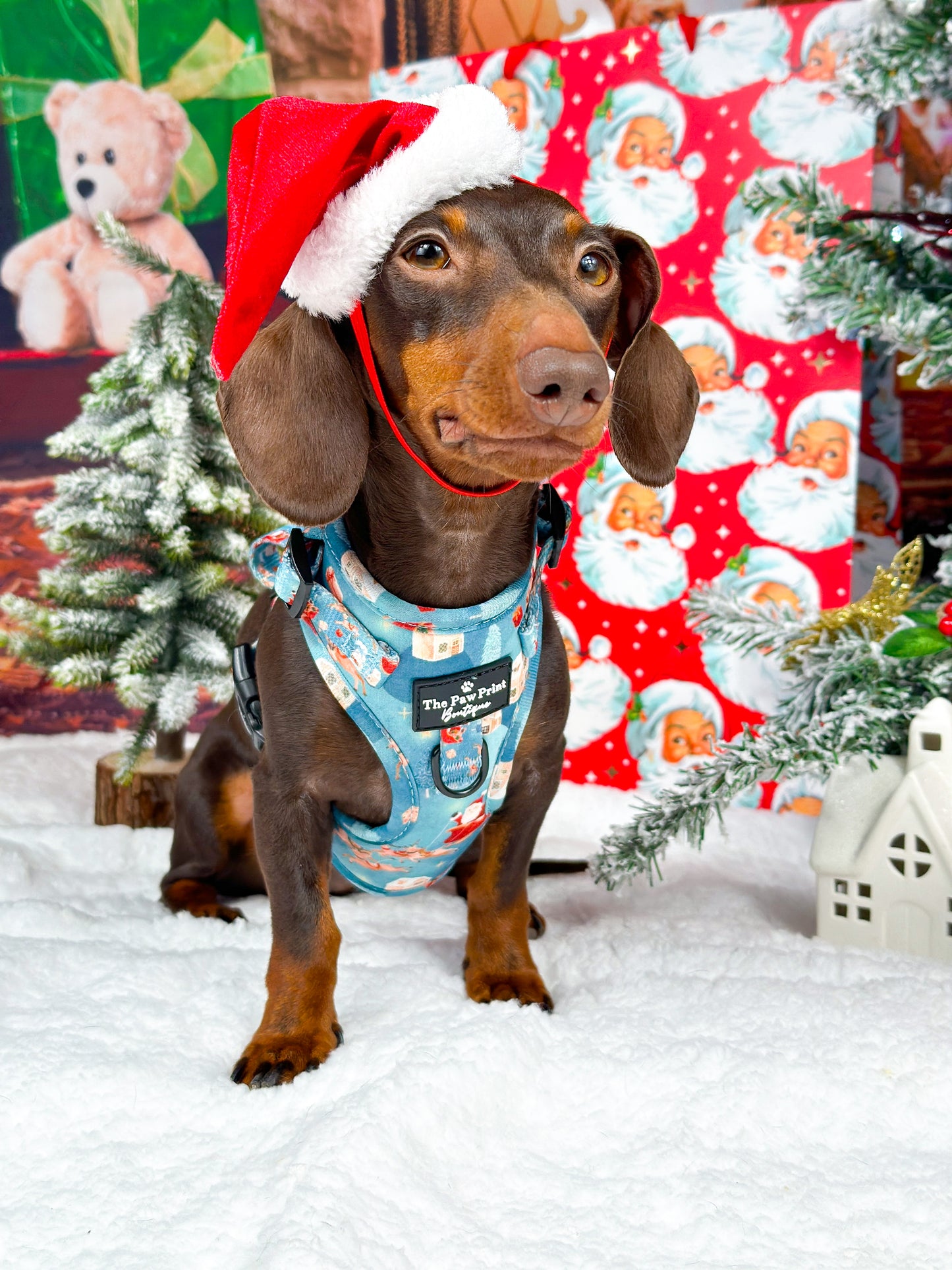 The Sleighing Santa Adjustable Harness