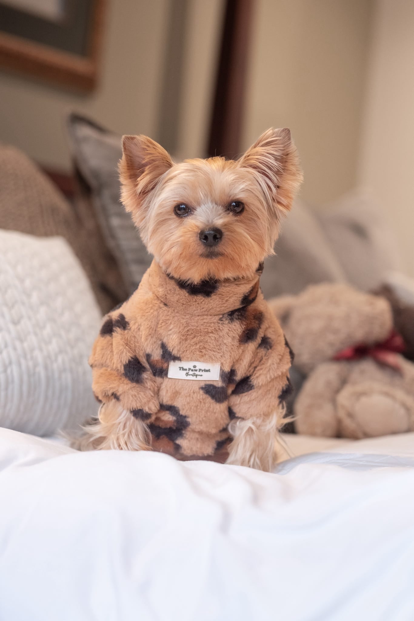 The Leopard Print (Brown) Fluffy & Fabulous Fleece