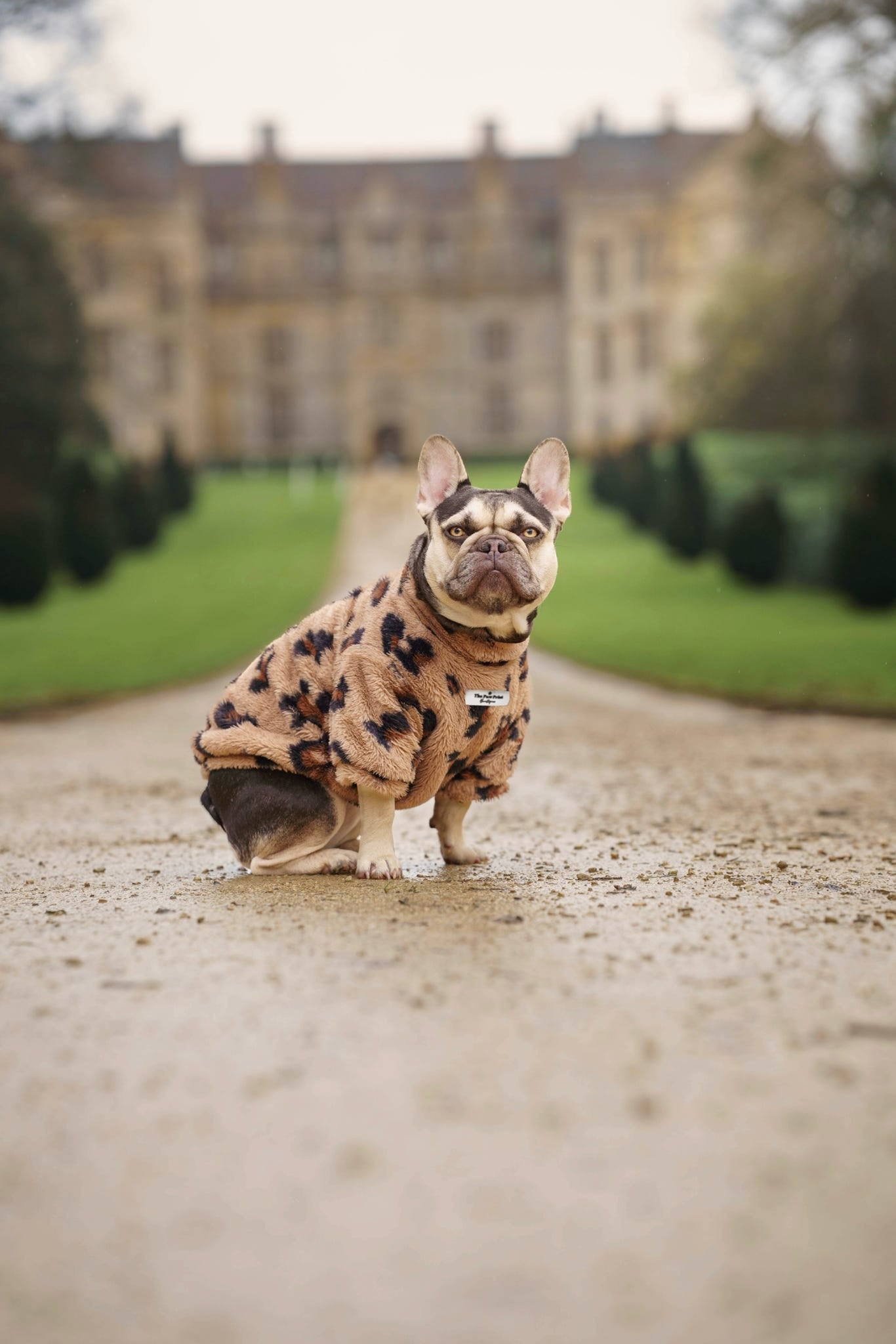 The Leopard Print (Brown) Fluffy & Fabulous Fleece