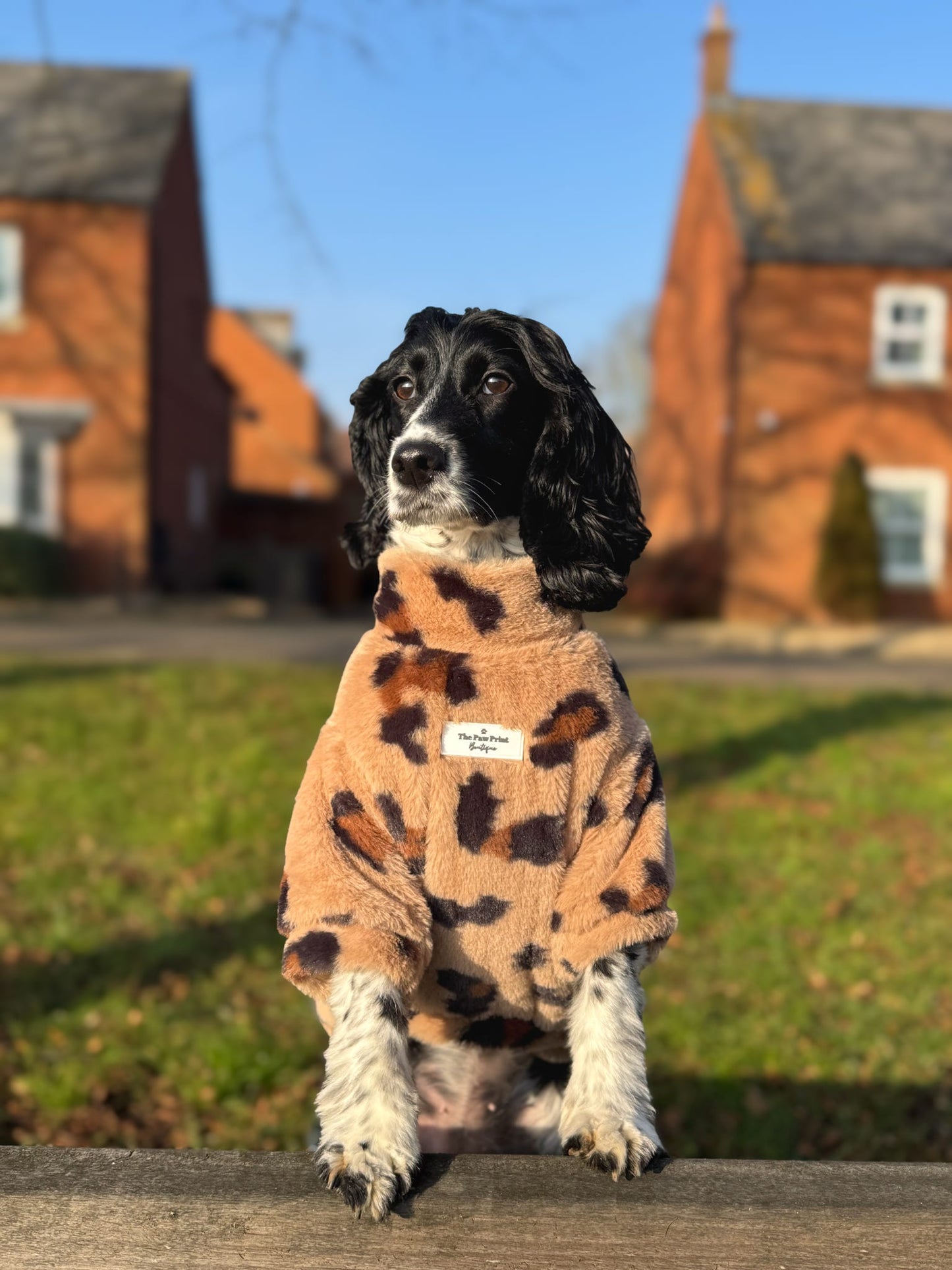 The Leopard Print (Brown) Fluffy & Fabulous Fleece
