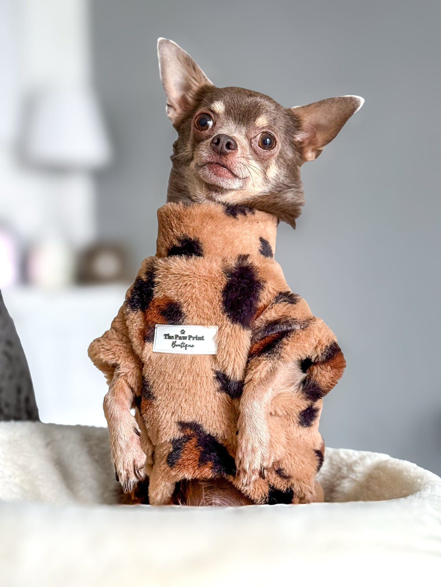 The Leopard Print (Brown) Fluffy & Fabulous Fleece