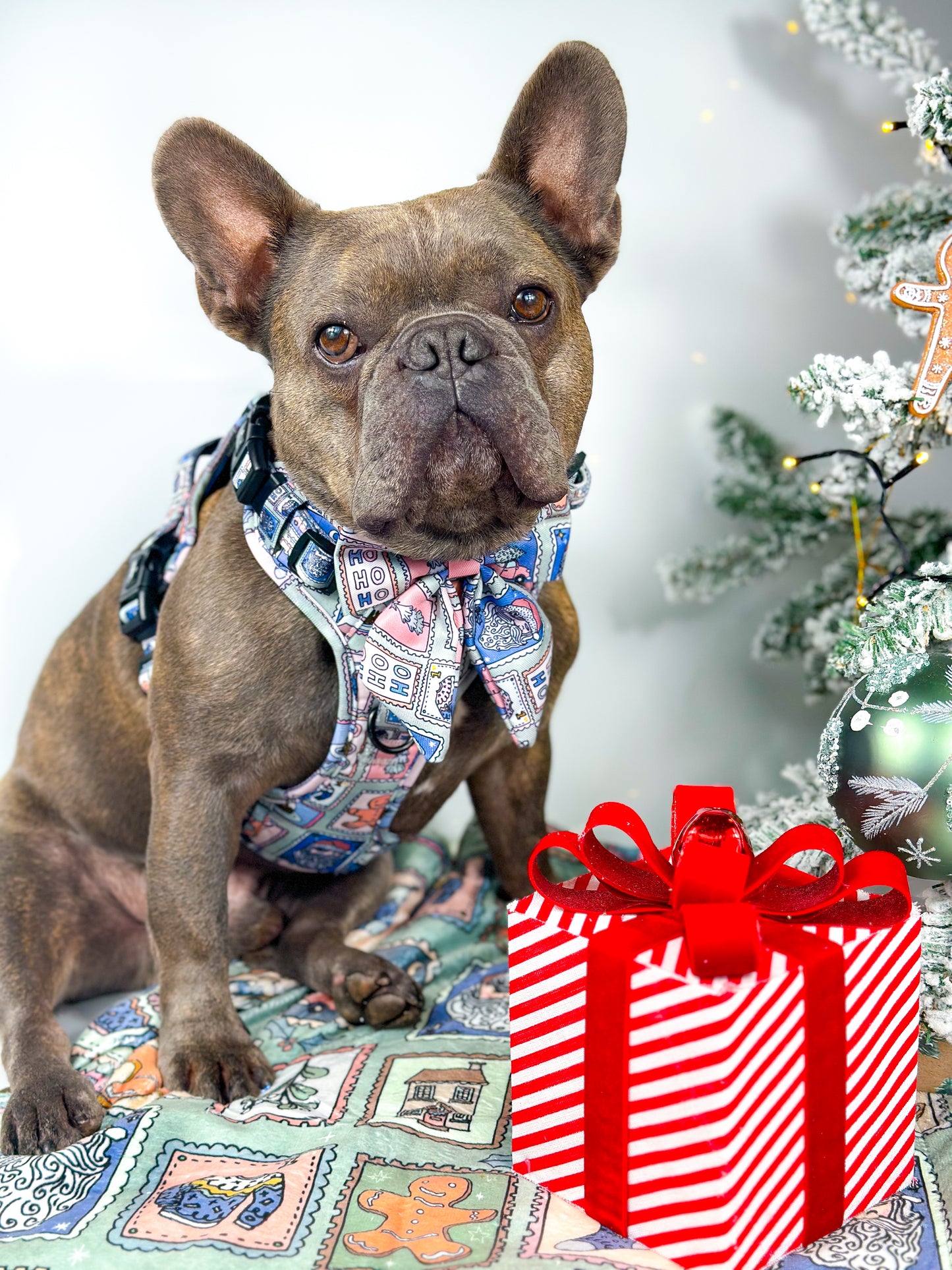 The Santas Stamps Adjustable Harness
