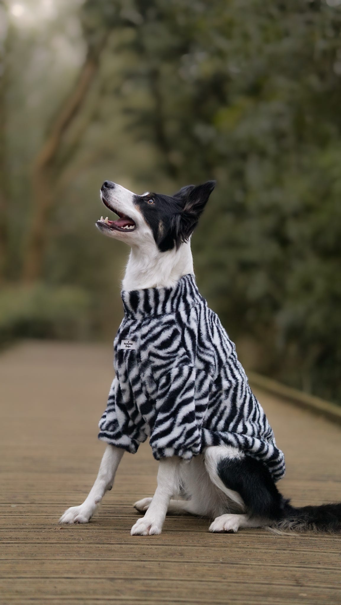 The Zebra Fluffy & Fabulous Fleece