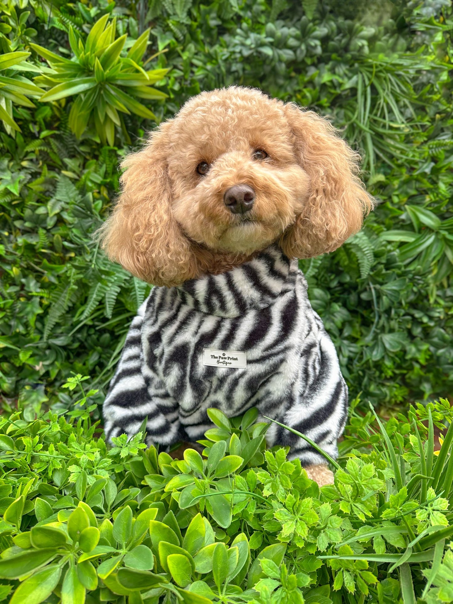 The Zebra Fluffy & Fabulous Fleece