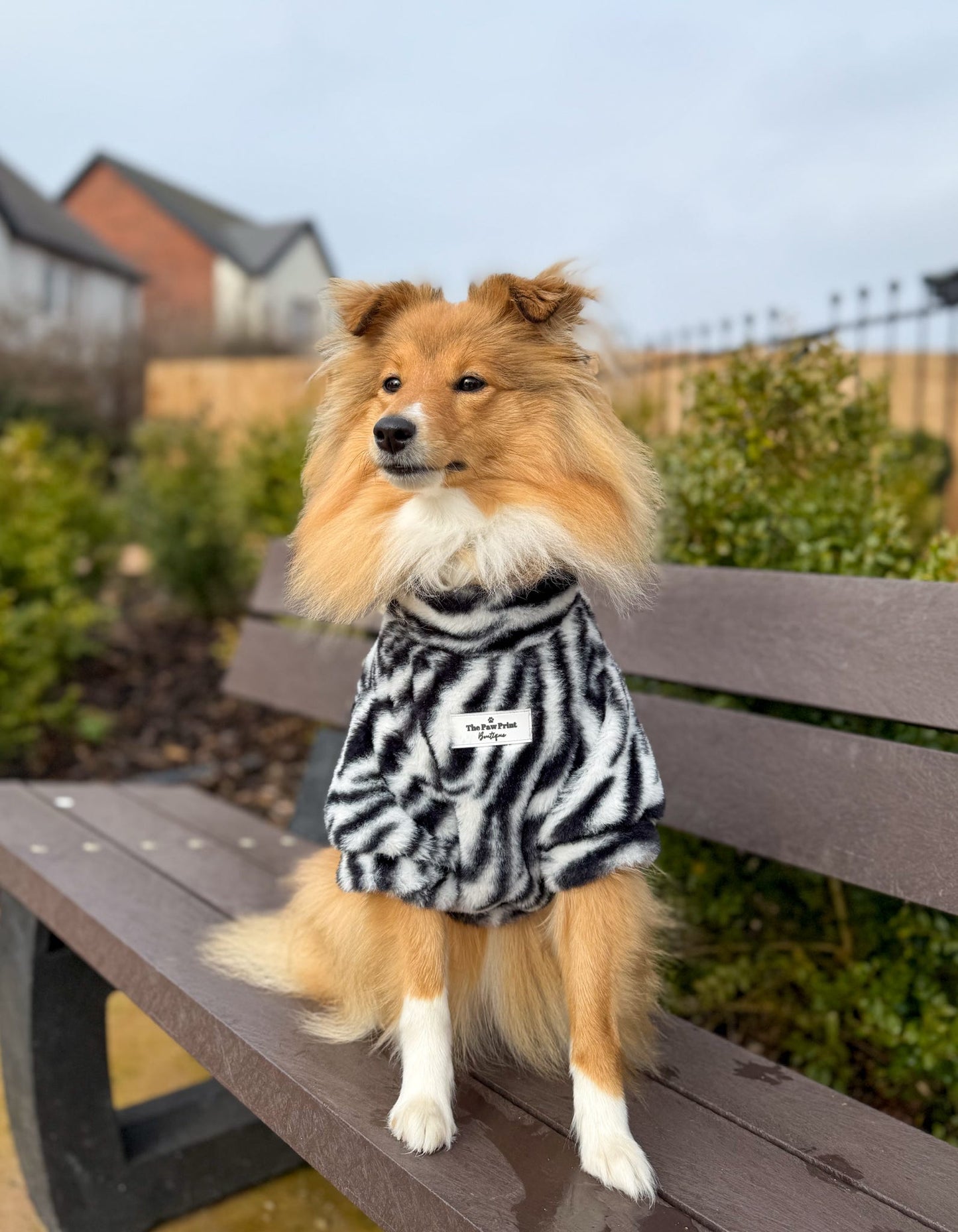 The Zebra Fluffy & Fabulous Fleece