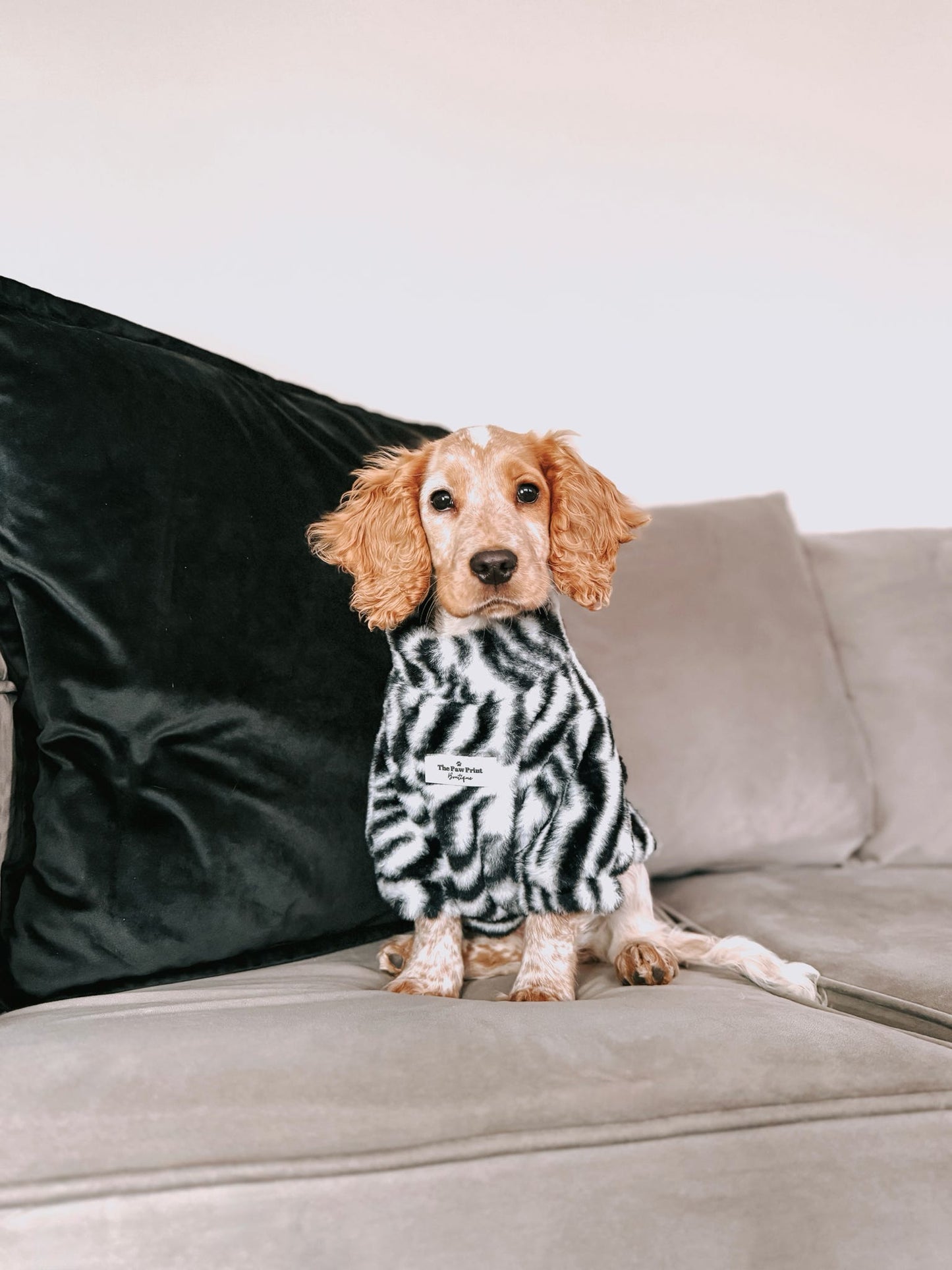 The Zebra Fluffy & Fabulous Fleece