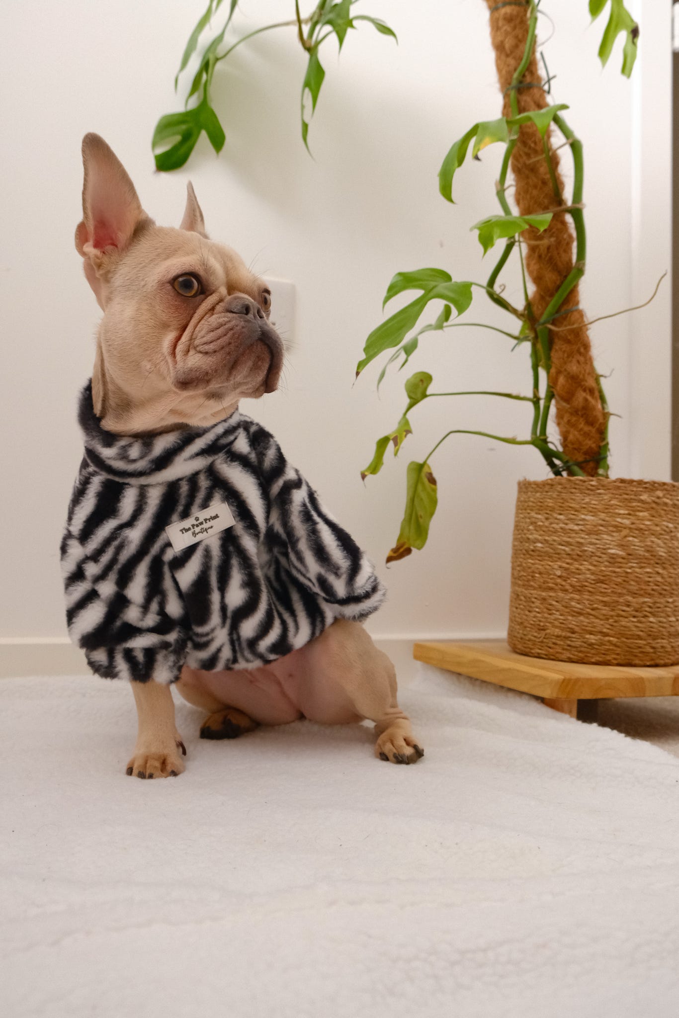 The Zebra Fluffy & Fabulous Fleece