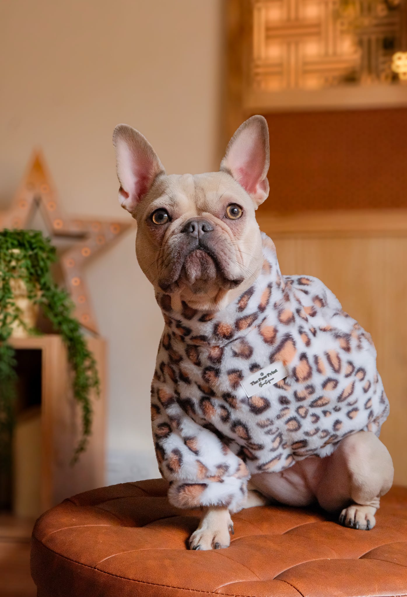 The Leopard Print (Orange & White) Fluffy & Fabulous Fleece
