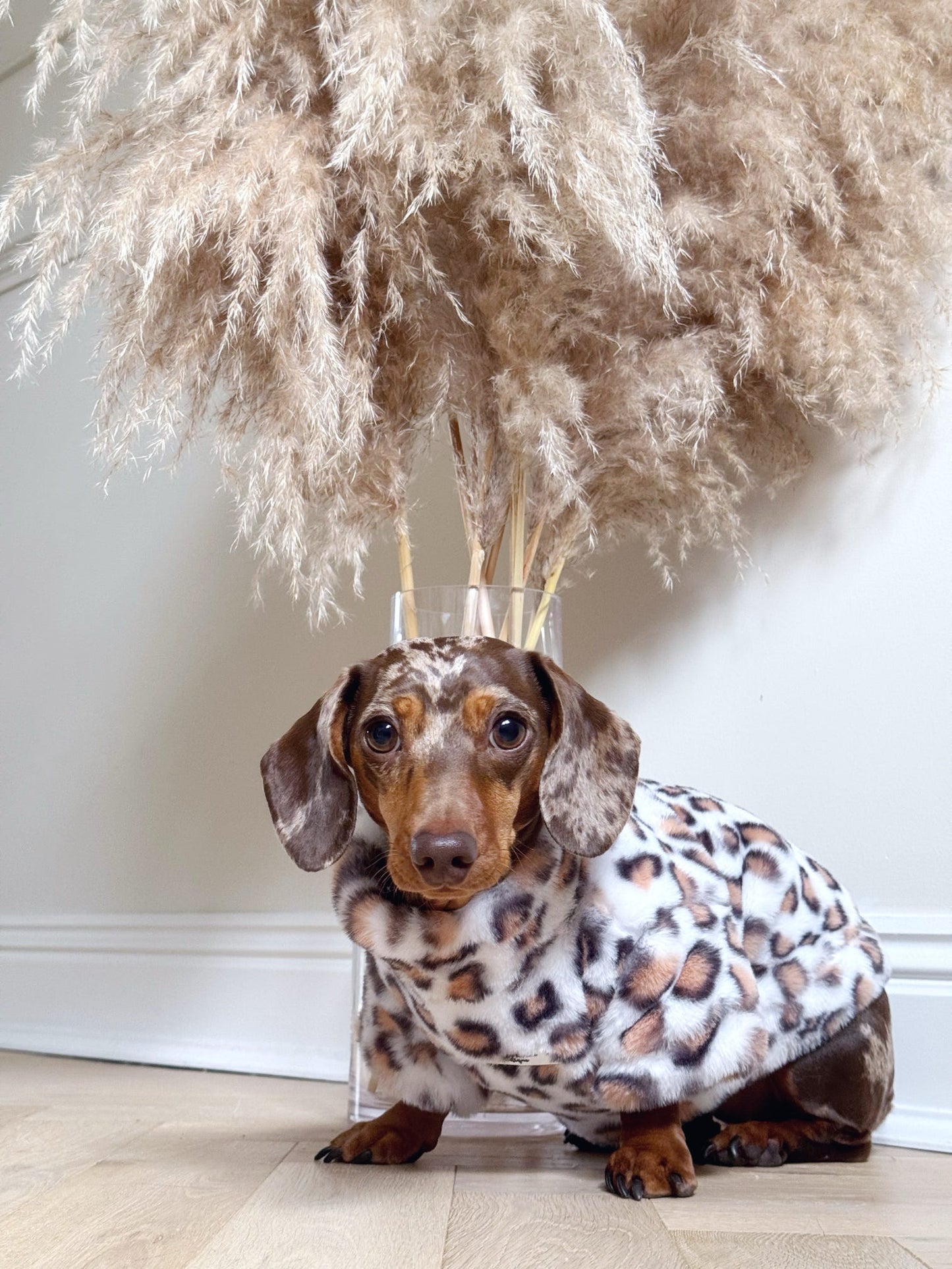 The Leopard Print (Orange & White) Fluffy & Fabulous Fleece