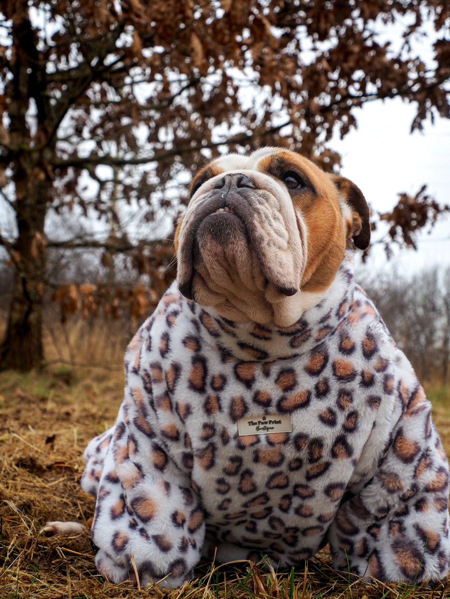 The Leopard Print (Orange & White) Fluffy & Fabulous Fleece
