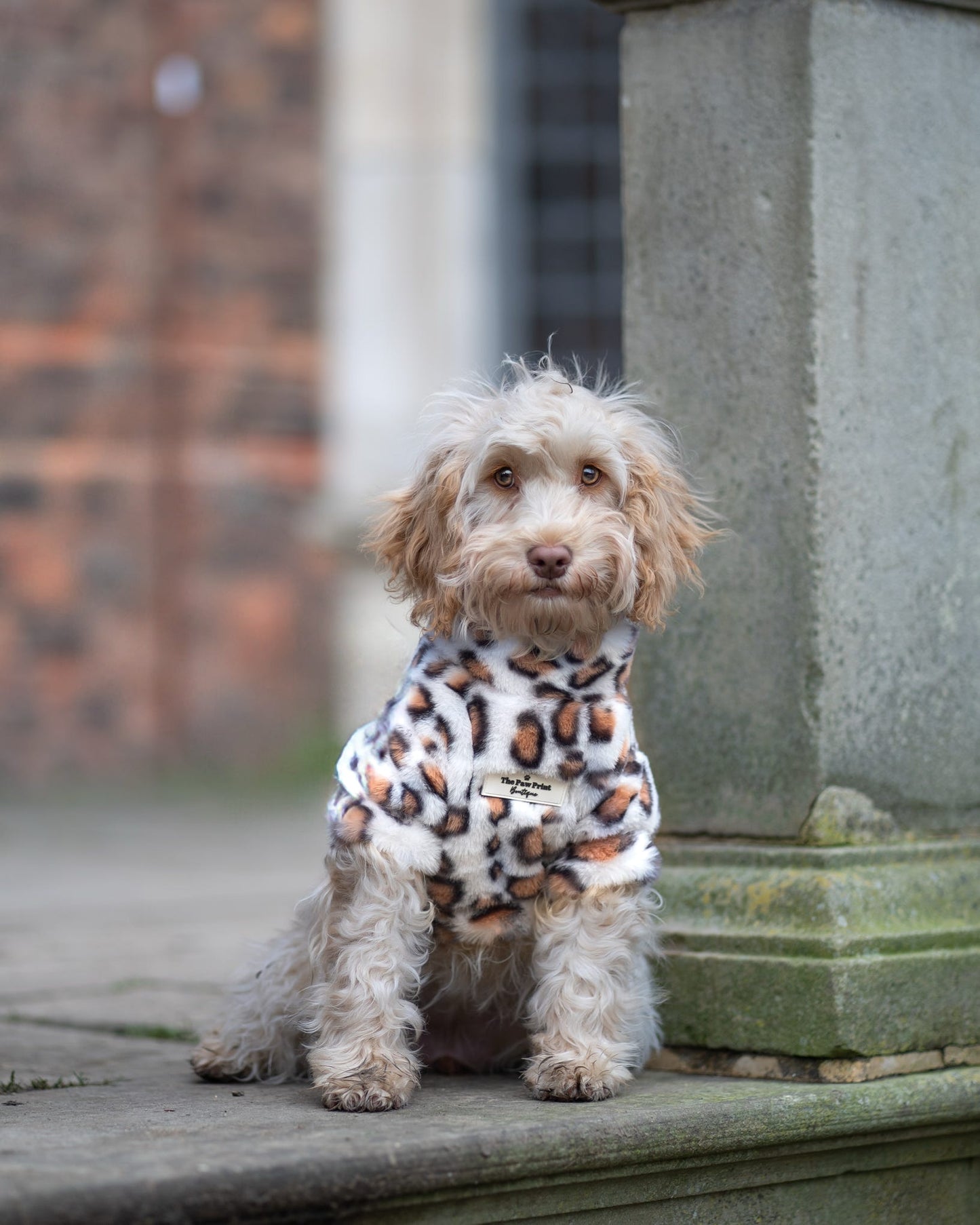 The Leopard Print (Orange & White) Fluffy & Fabulous Fleece
