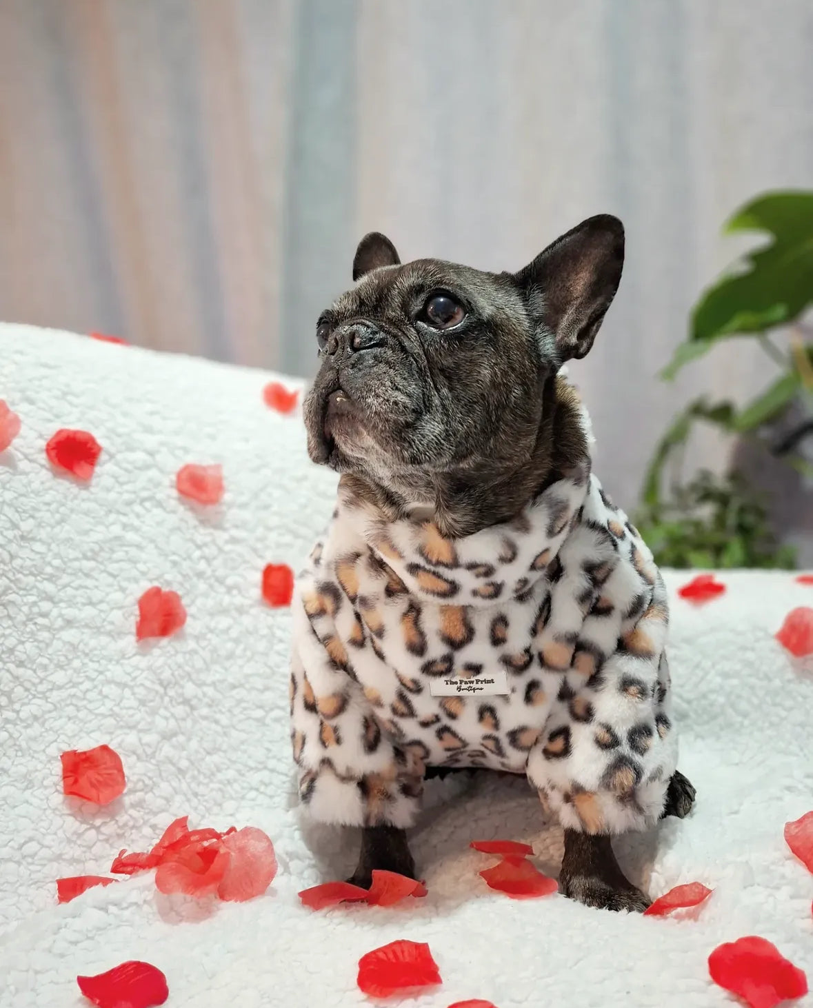 The Leopard Print (Orange & White) Fluffy & Fabulous Fleece