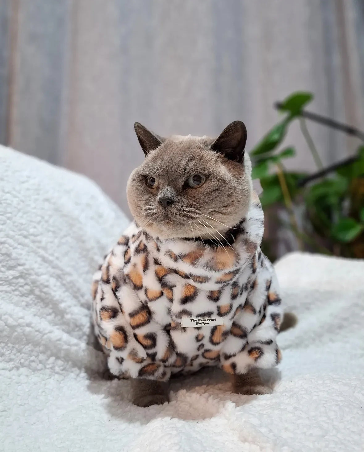 The Leopard Print (Orange & White) Fluffy & Fabulous Fleece