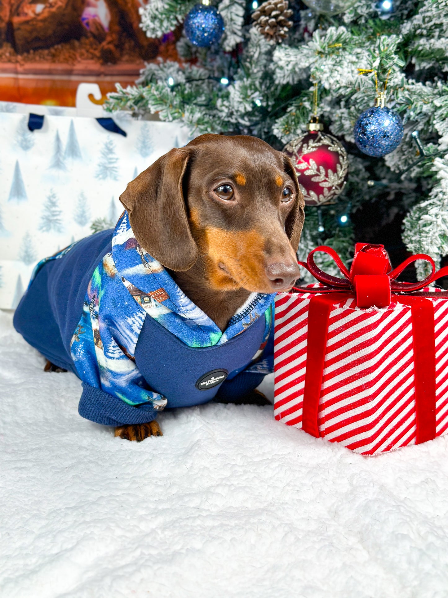 The North Pole Dog Hoodie