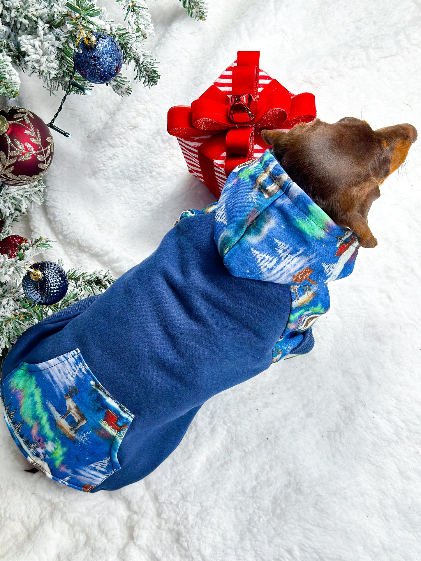 The North Pole Dog Hoodie